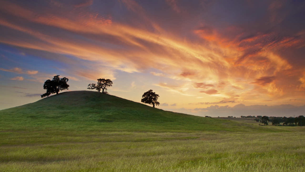 Green Grass Field Under Orange and Blue Sky. Wallpaper in 1280x720 Resolution