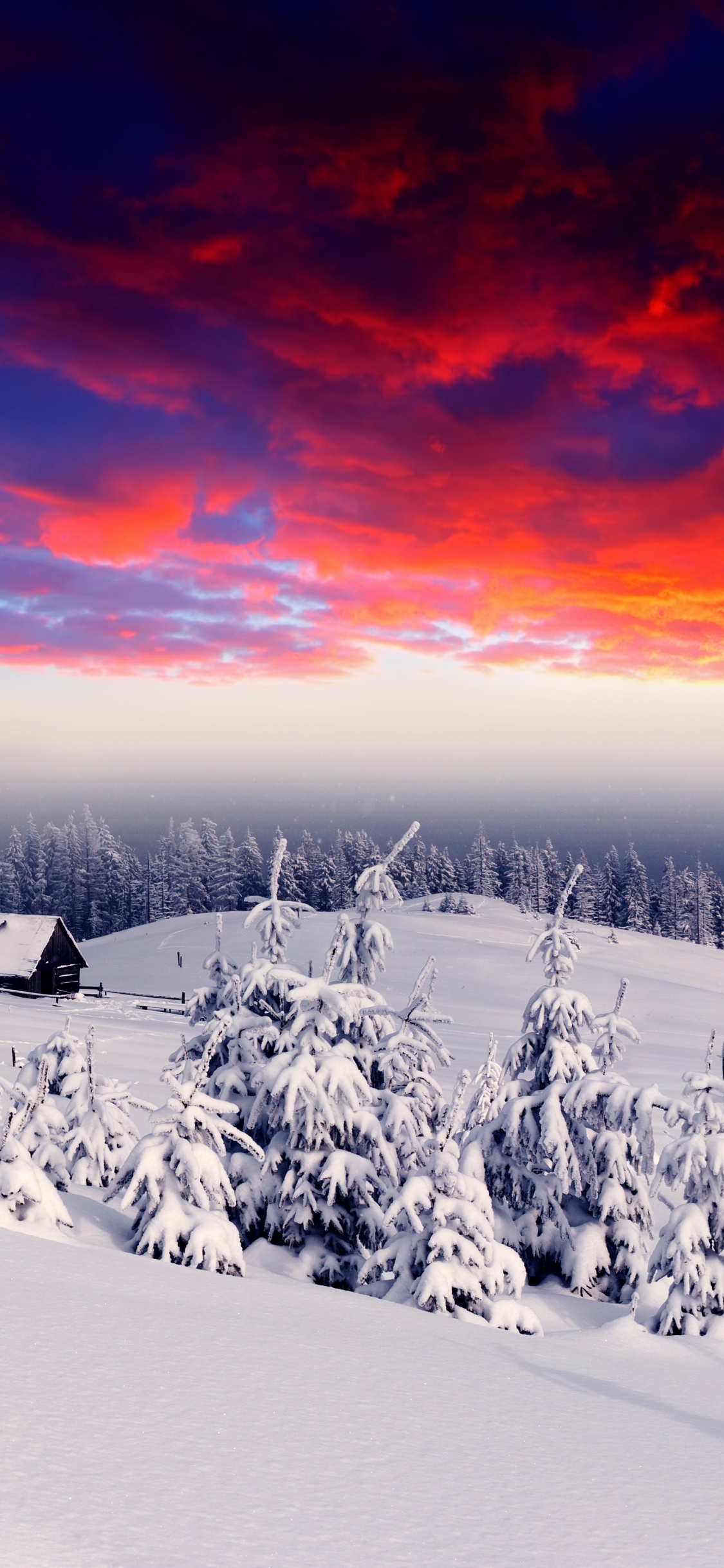 Schneebedecktes Feld Bei Sonnenuntergang. Wallpaper in 1125x2436 Resolution