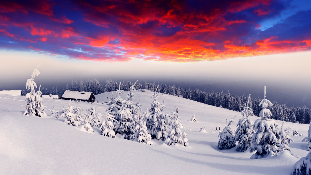 Schneebedecktes Feld Bei Sonnenuntergang. Wallpaper in 1280x720 Resolution