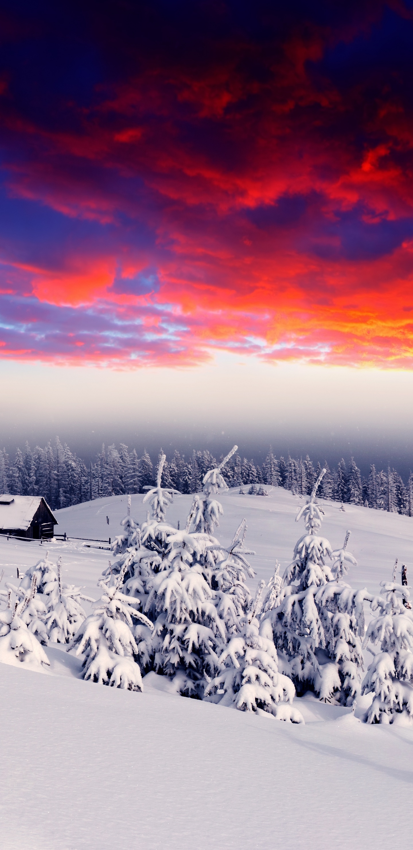 Schneebedecktes Feld Bei Sonnenuntergang. Wallpaper in 1440x2960 Resolution