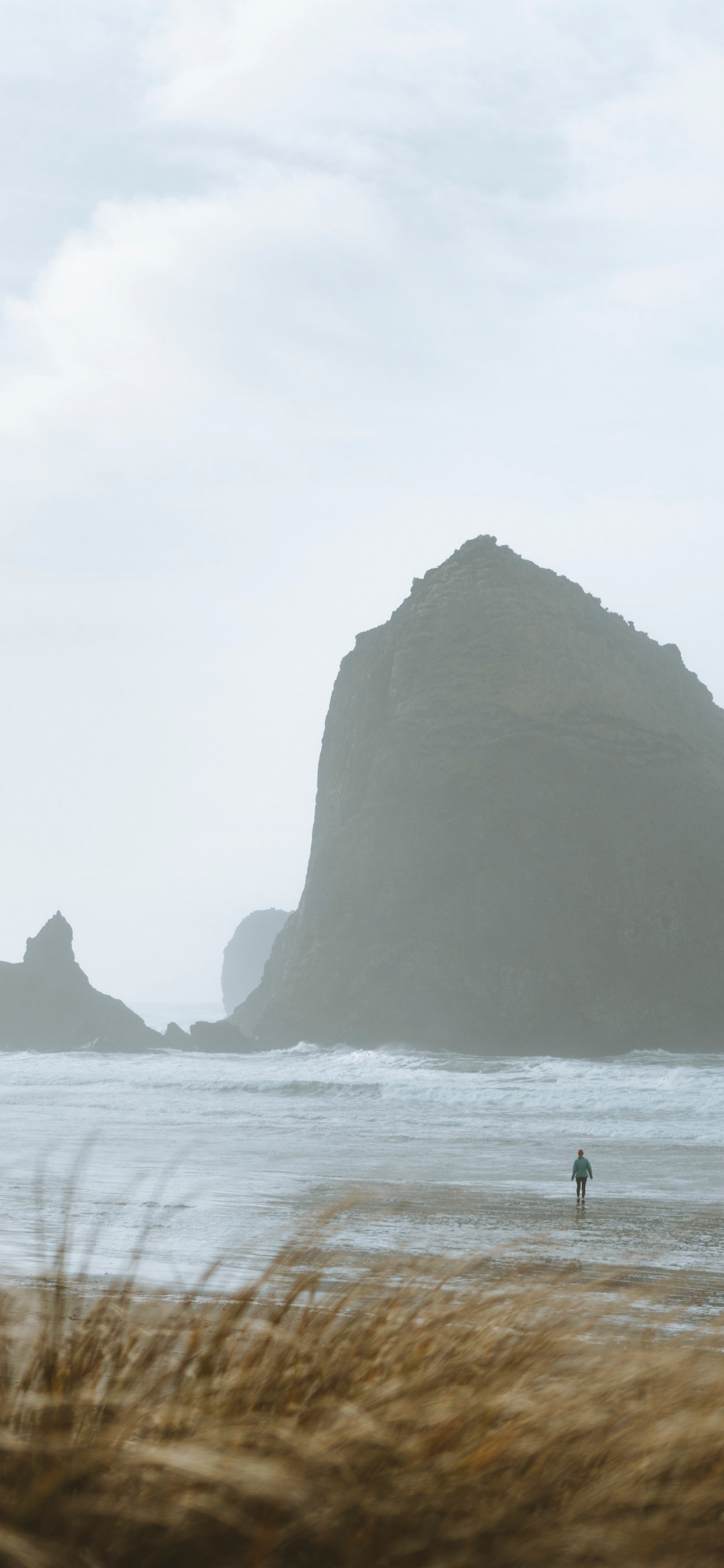 Haystack Rock, Côte, Mer, Rock, L'herbe de la Famille. Wallpaper in 1242x2688 Resolution