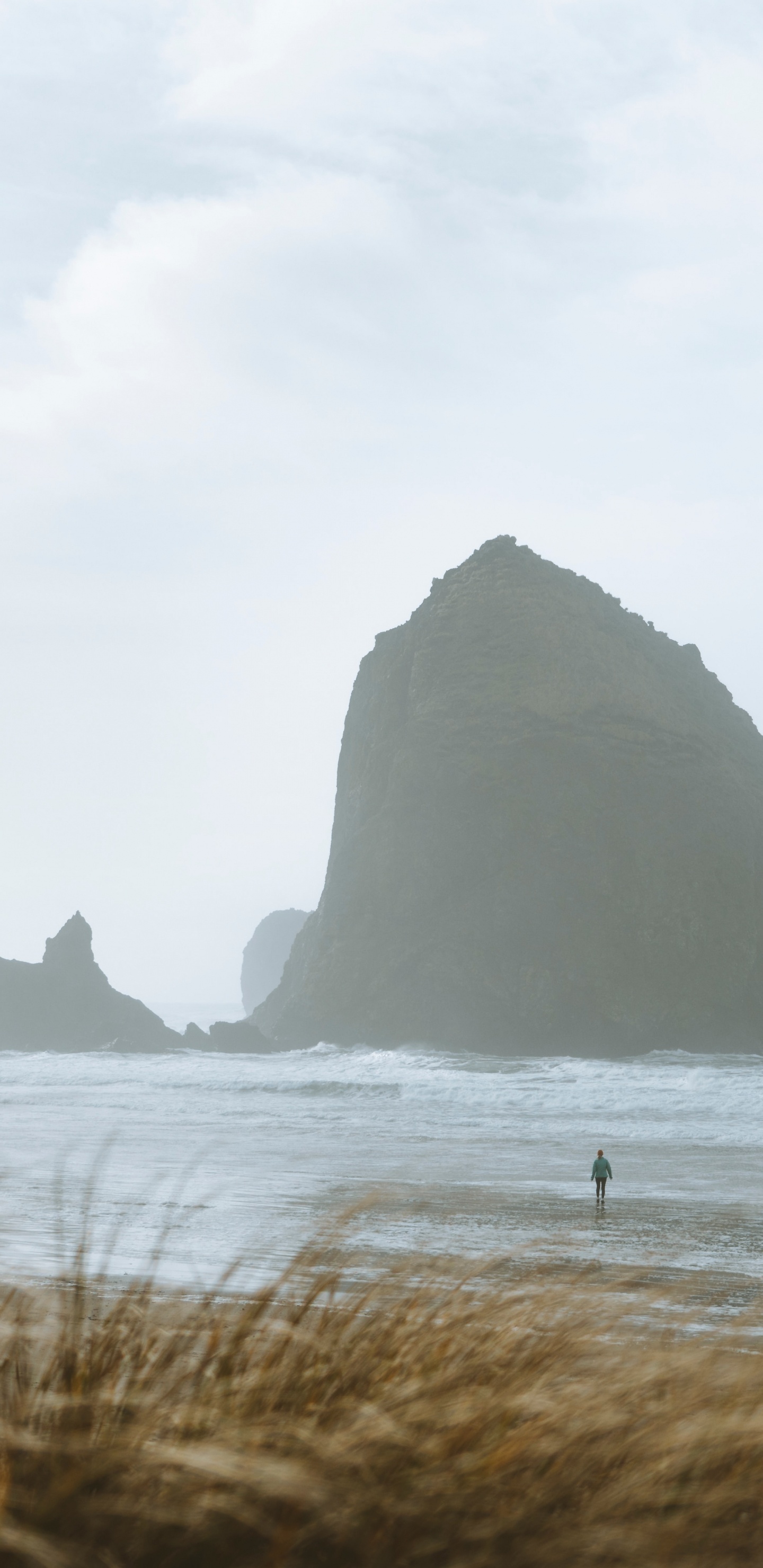 Pajar Rock, Costa, Mar, Hierba de la Familia, Oceano. Wallpaper in 1440x2960 Resolution