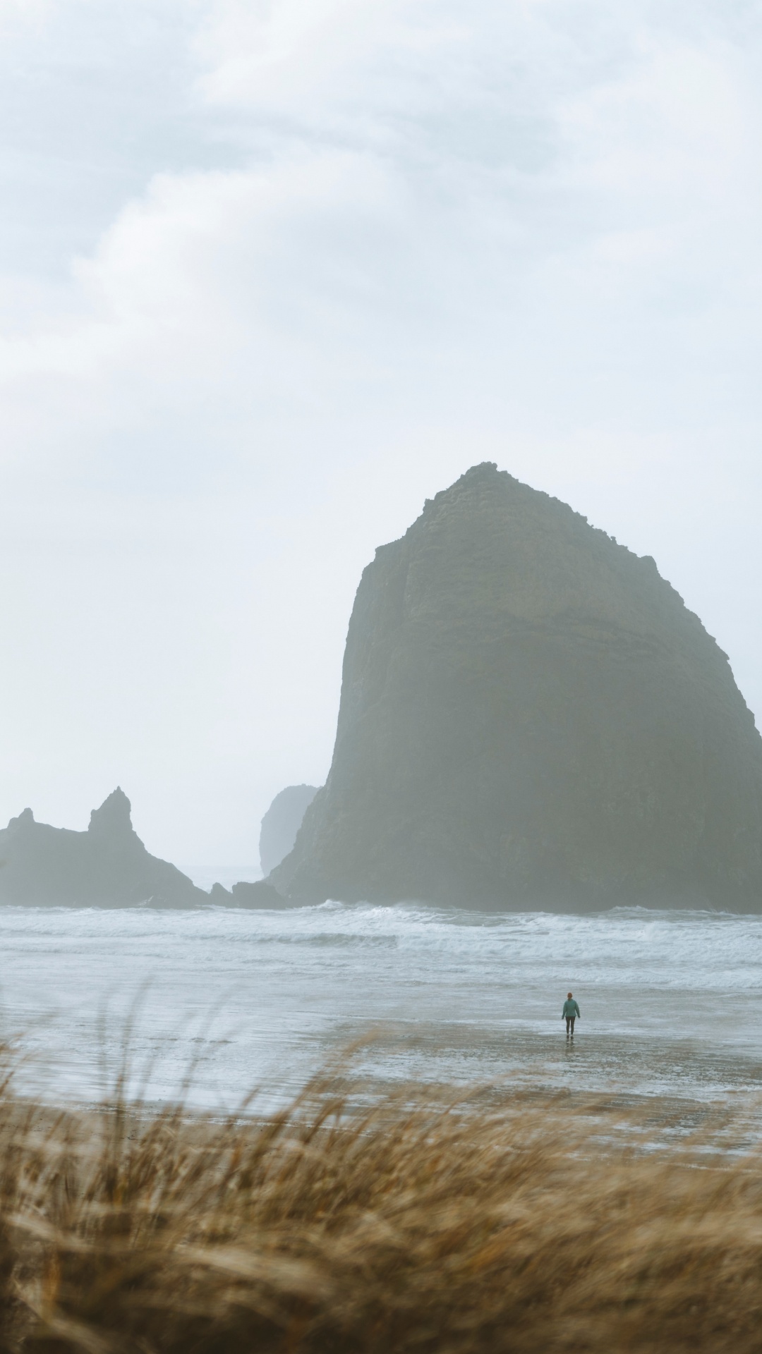 Haystack Rock, Coast, Sea, Rock, Grass Family. Wallpaper in 1080x1920 Resolution