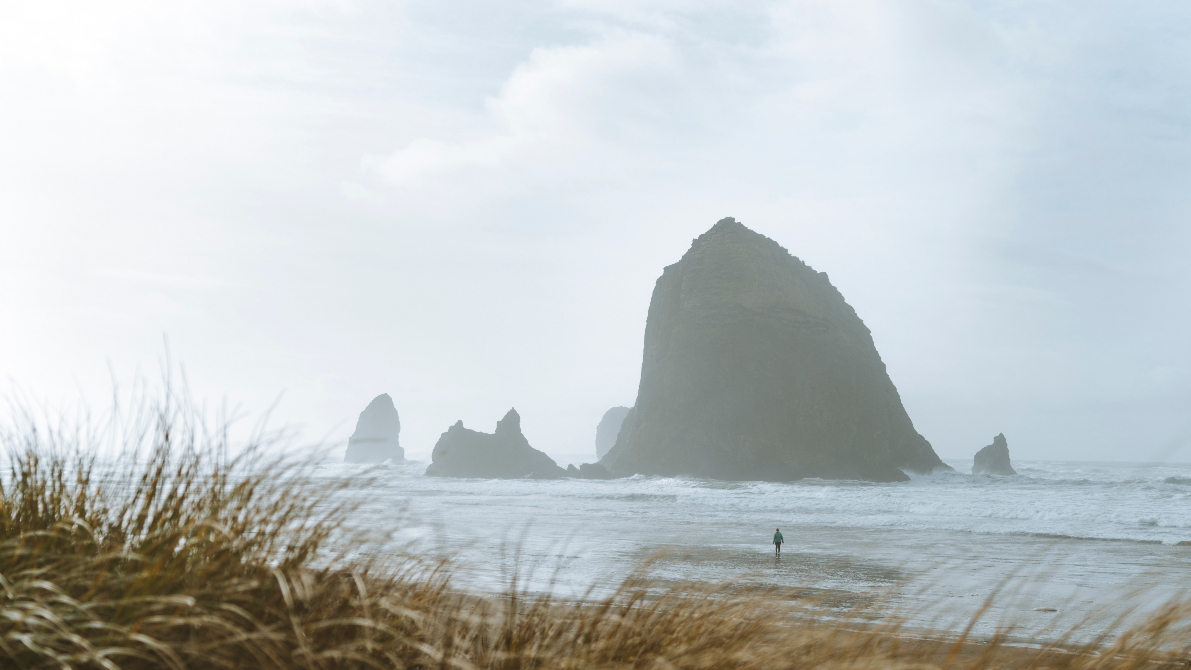 Haystack Rock, Coast, Sea, Rock, Grass Family. Wallpaper in 3840x2160 Resolution