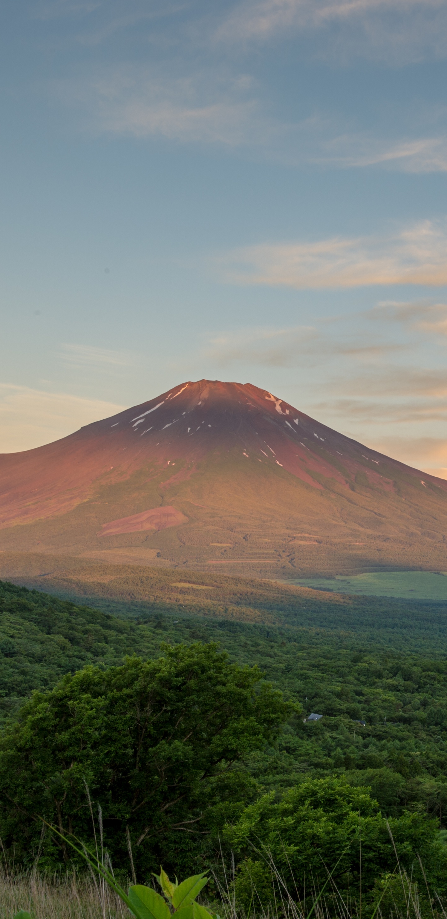 富士山, 高地, 黎明, 早上, 天空 壁纸 1440x2960 允许