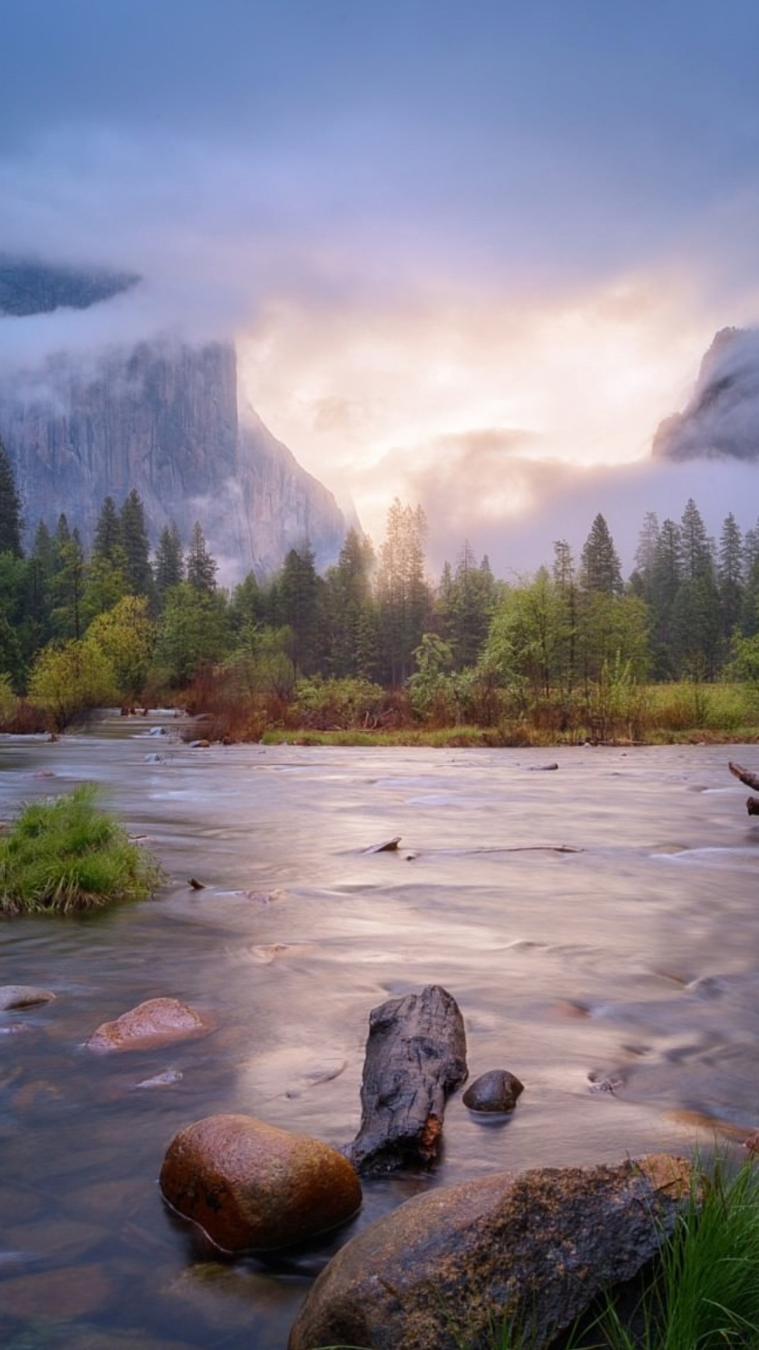 Árboles Verdes Cerca Del Lago Durante el Día. Wallpaper in 1080x1920 Resolution