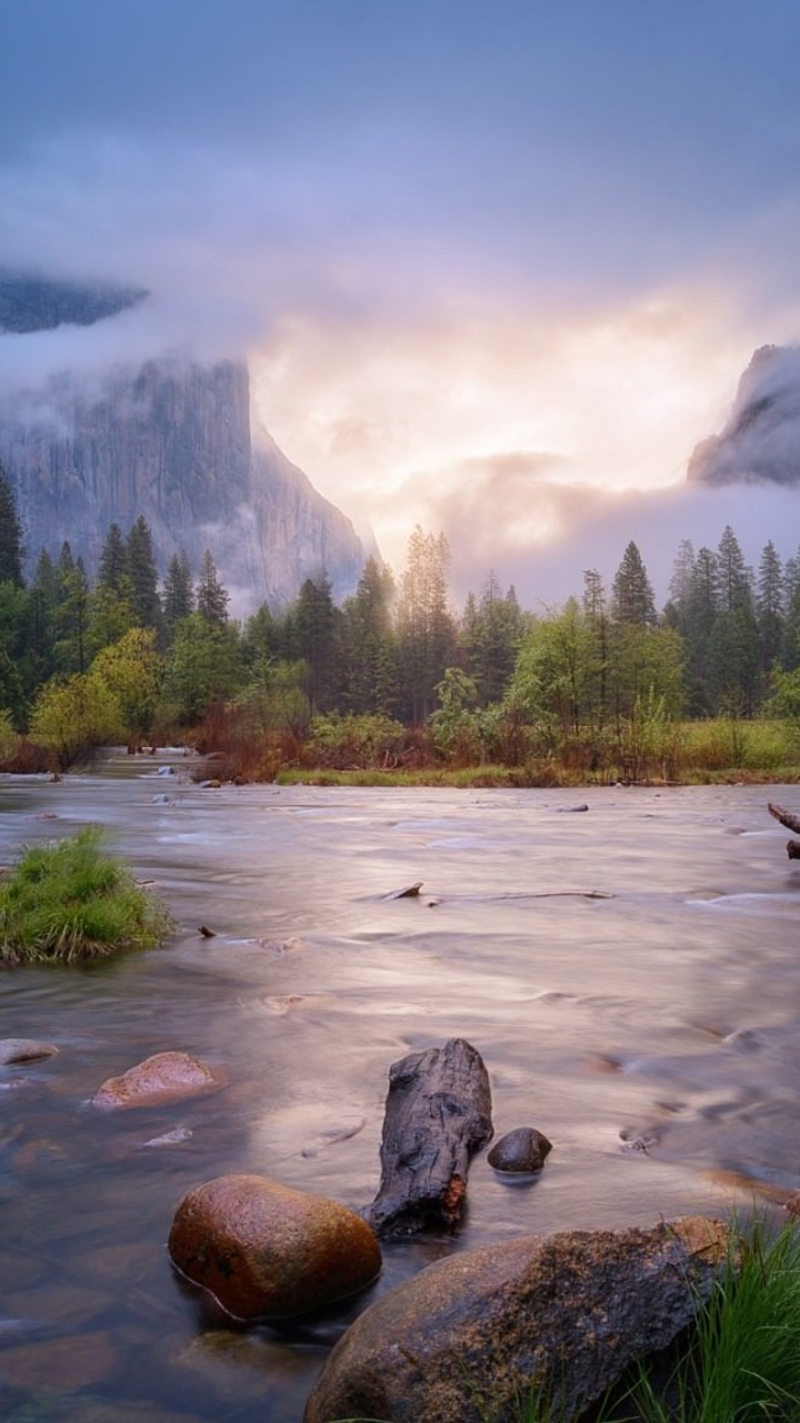 Green Trees Near Lake During Daytime. Wallpaper in 720x1280 Resolution
