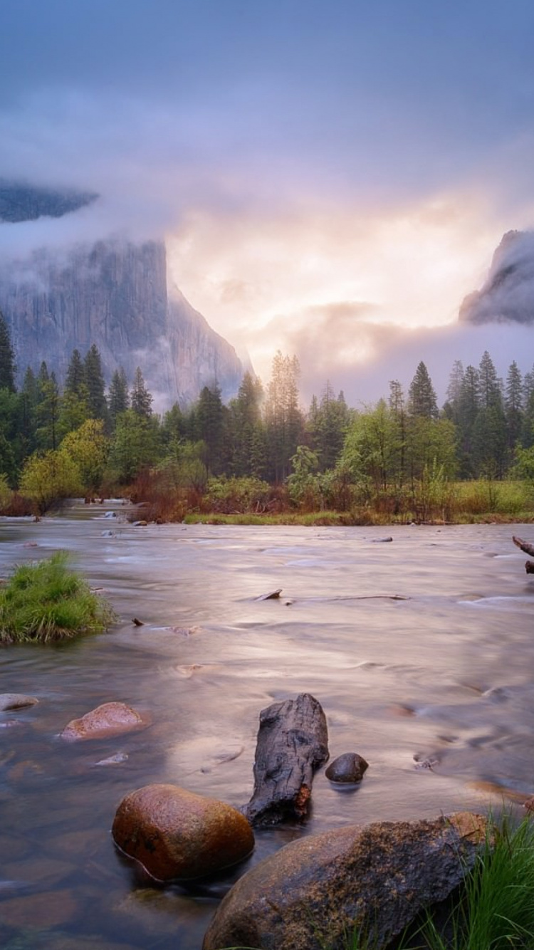 Green Trees Near Lake During Daytime. Wallpaper in 750x1334 Resolution