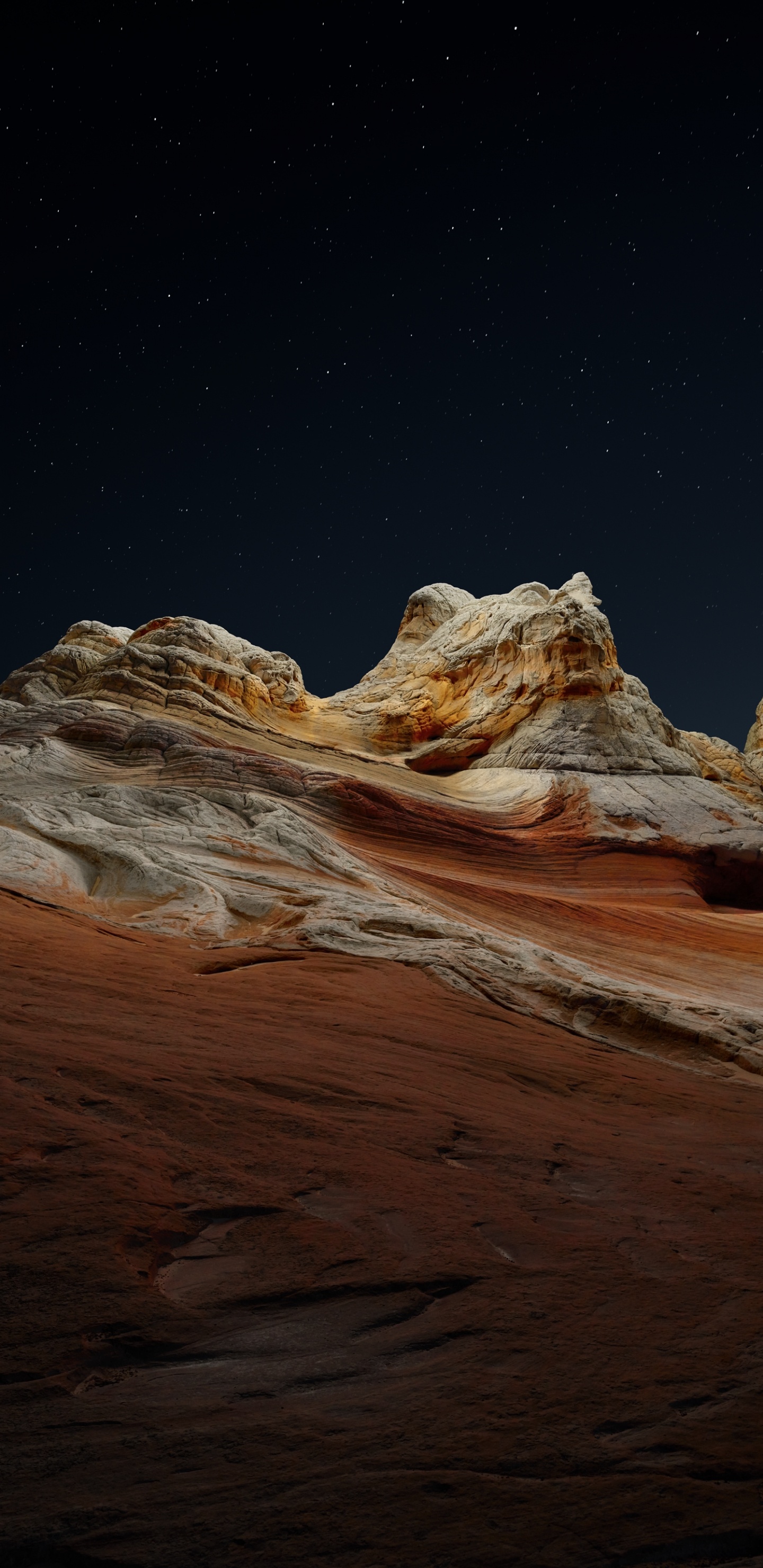 IPad, Ipad Pro, IPad Air, IOS 14, IOS 14.2. Wallpaper in 1440x2960 Resolution