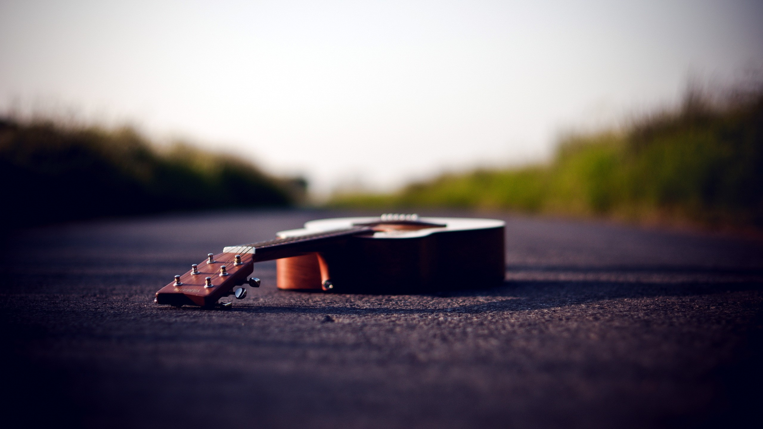 Guitar, Horizon, Morning, Sunlight, Electric Guitar. Wallpaper in 2560x1440 Resolution