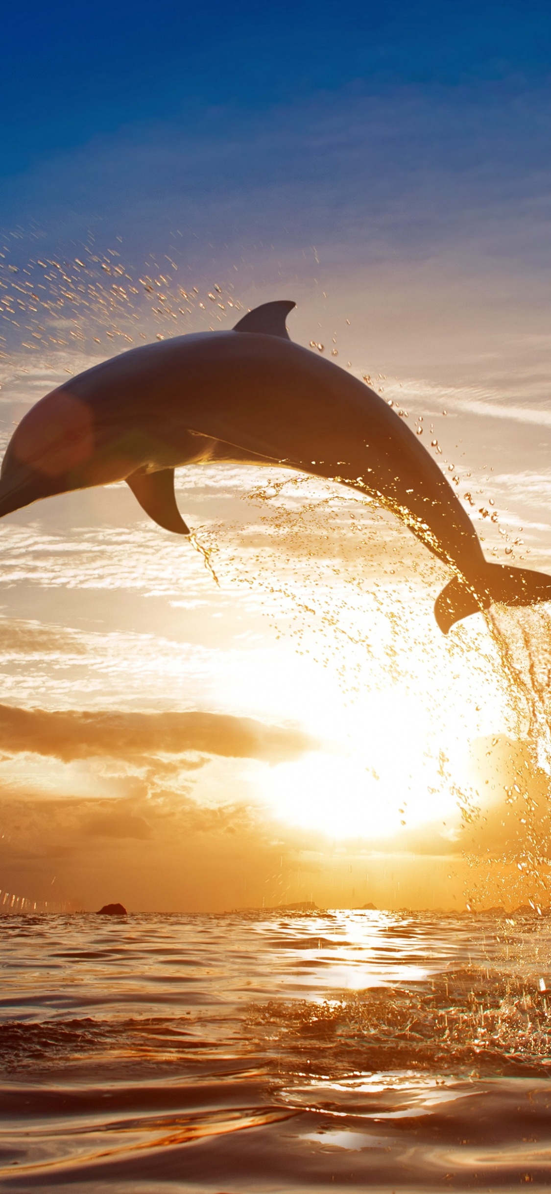 Vagues de la Mer se Brisant Sur le Rivage Pendant le Coucher du Soleil. Wallpaper in 1125x2436 Resolution