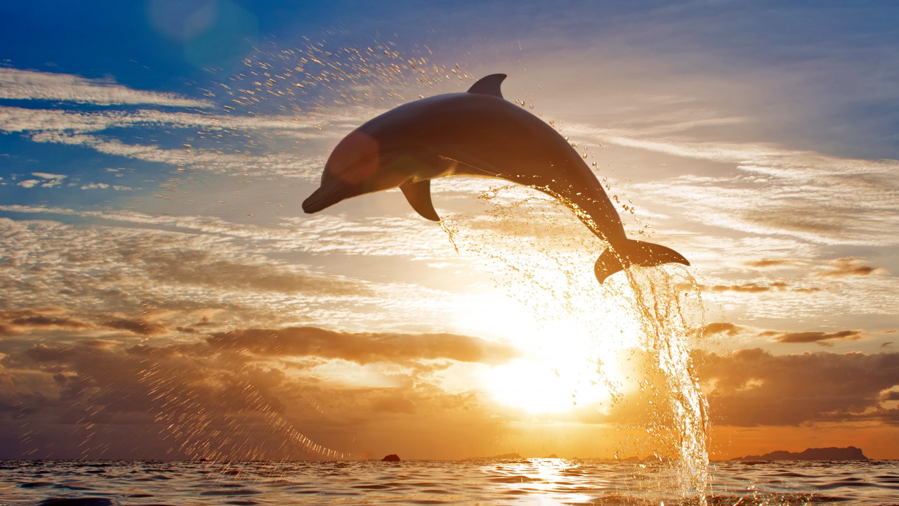 Vagues de la Mer se Brisant Sur le Rivage Pendant le Coucher du Soleil. Wallpaper in 1280x720 Resolution