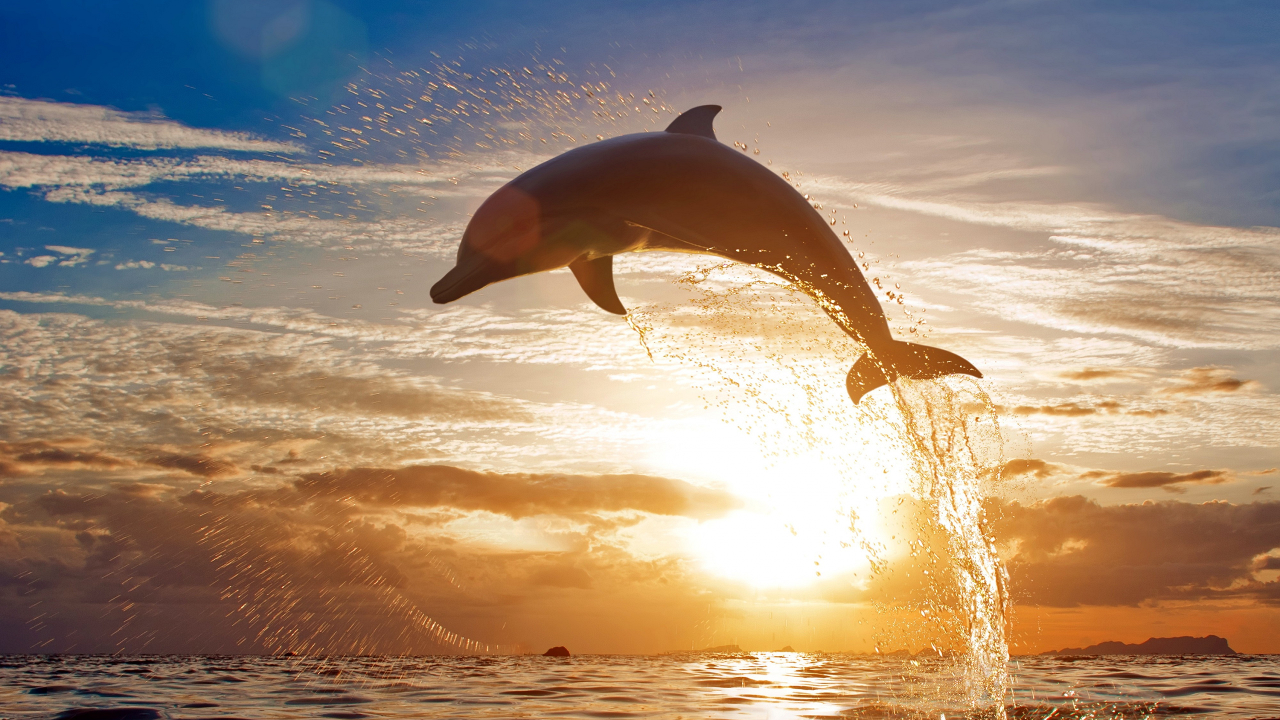 Vagues de la Mer se Brisant Sur le Rivage Pendant le Coucher du Soleil. Wallpaper in 2560x1440 Resolution