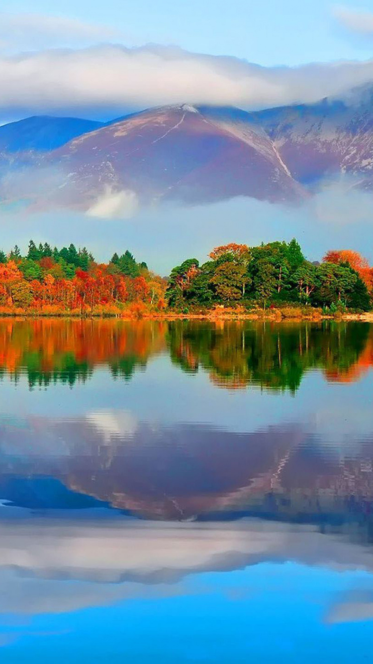 Arbres Verts Près du Lac Sous Ciel Bleu Pendant la Journée. Wallpaper in 750x1334 Resolution
