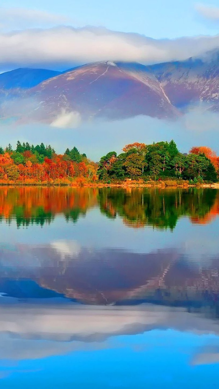 Green Trees Near Lake Under Blue Sky During Daytime. Wallpaper in 720x1280 Resolution