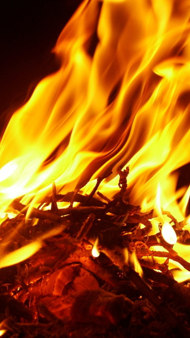 Quema de Leña en el Fuego Durante la Noche. Wallpaper in 750x1334 Resolution