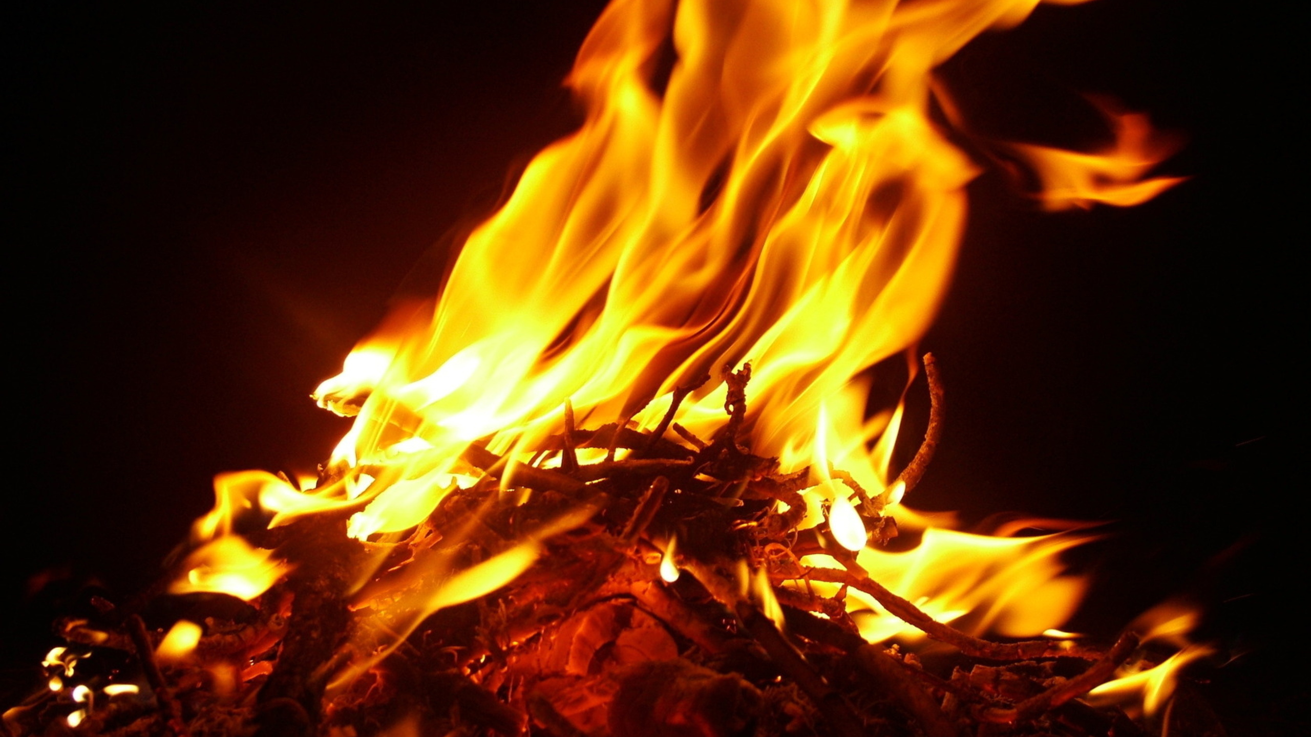 Brennendes Holz in Der Nacht. Wallpaper in 2560x1440 Resolution