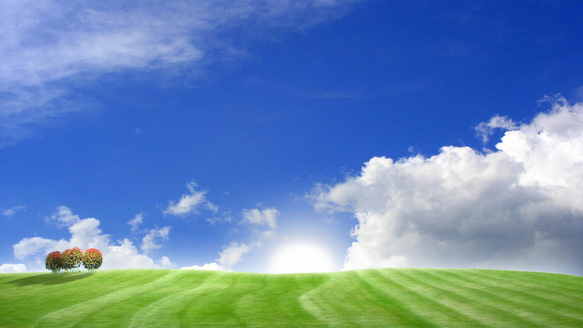 Champ D'herbe Verte Sous Ciel Bleu et Nuages Blancs Pendant la Journée. Wallpaper in 1920x1080 Resolution