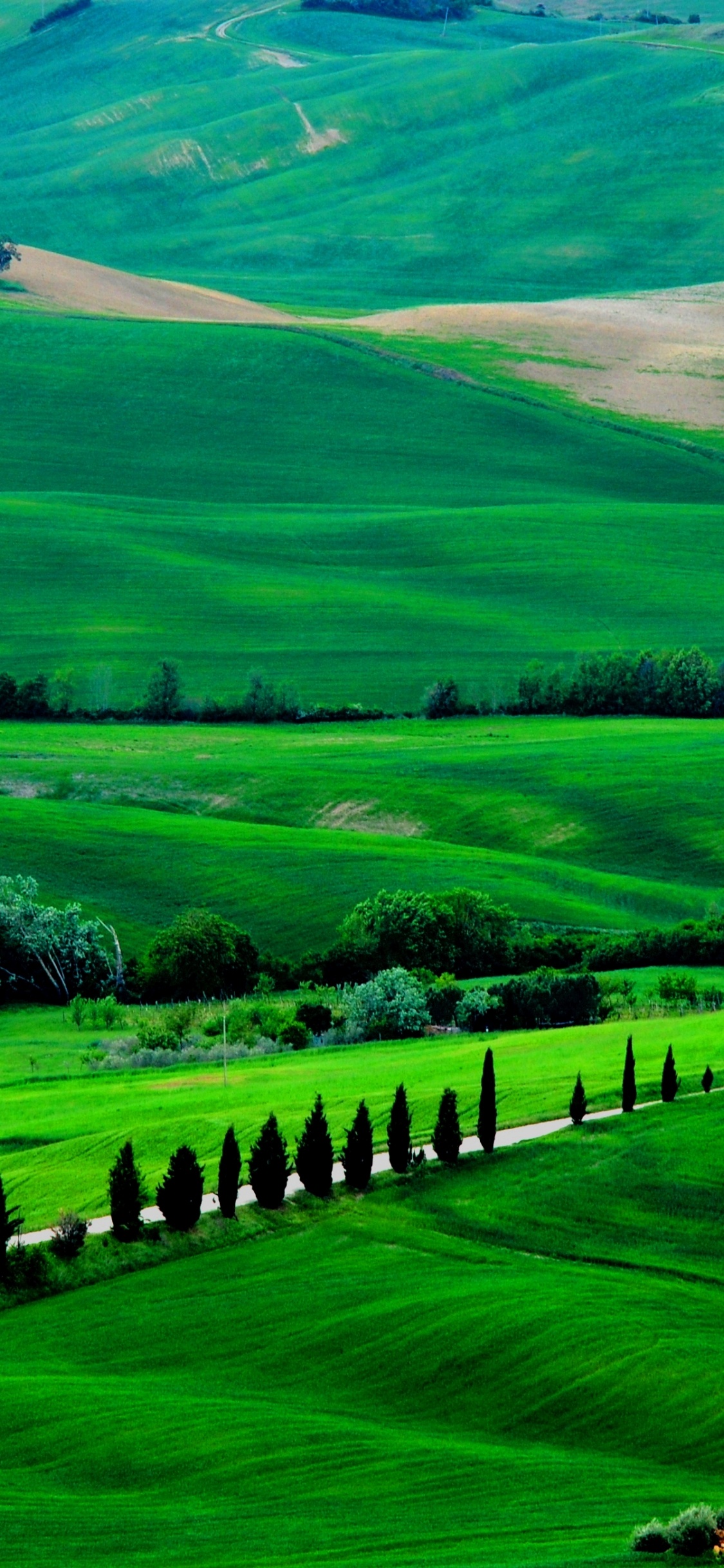 Verde, Naturaleza, Pasto, Highland, Colina. Wallpaper in 1125x2436 Resolution