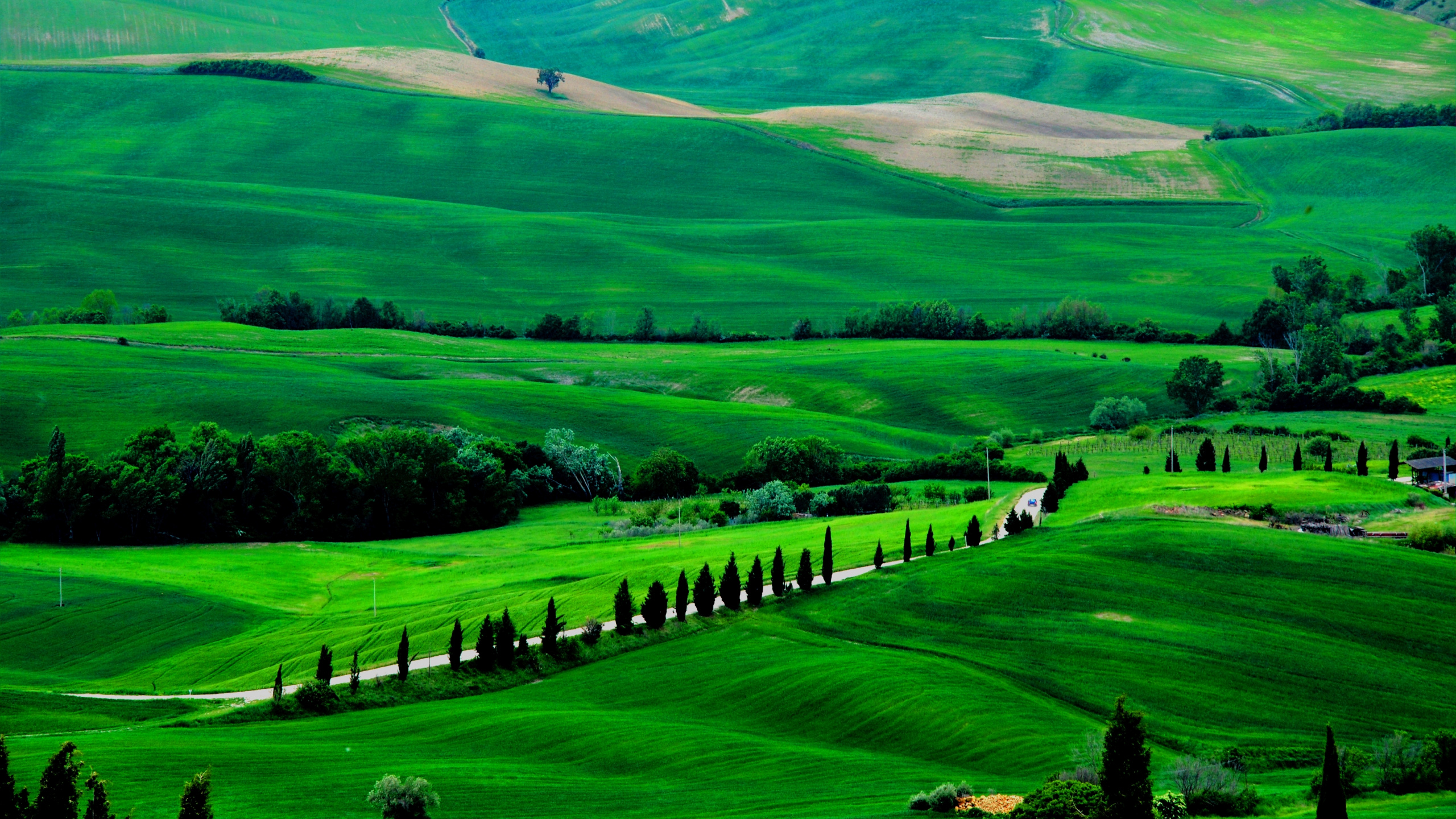 Landscape, Green, Grassland, Nature, Pasture. Wallpaper in 2560x1440 Resolution