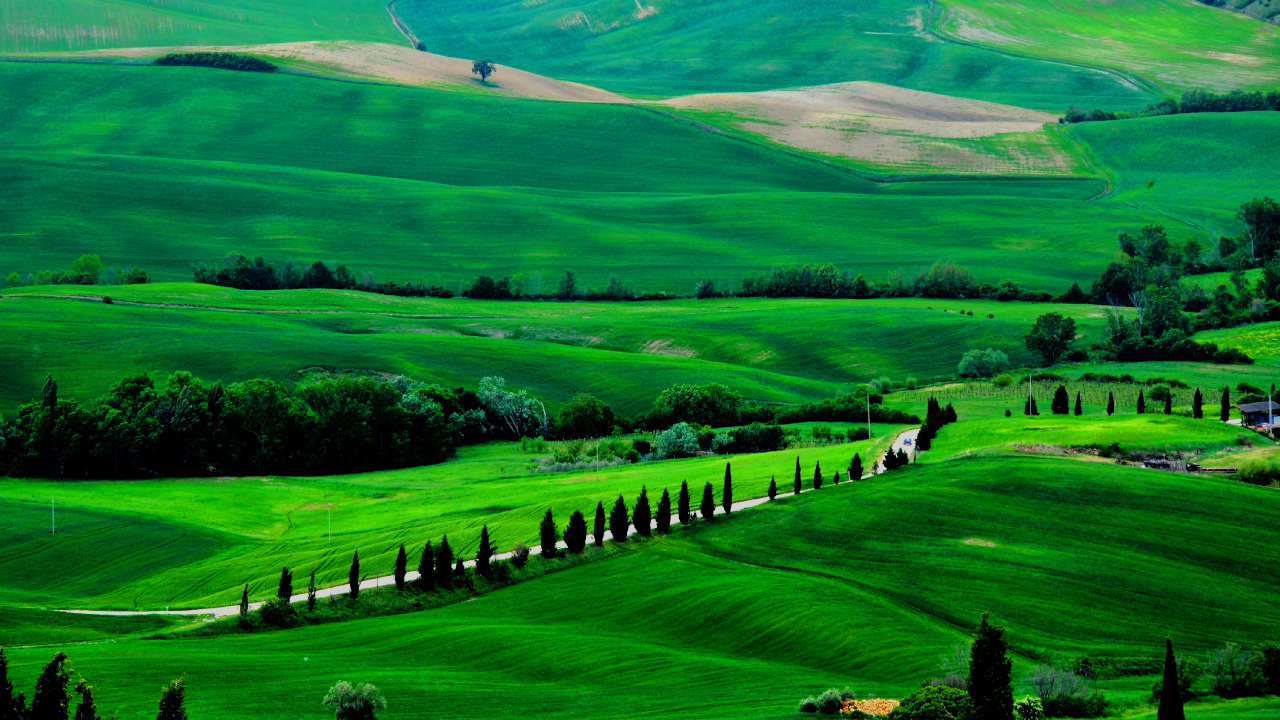 Green, Prairie, Nature, Pâturage, Highland. Wallpaper in 1280x720 Resolution