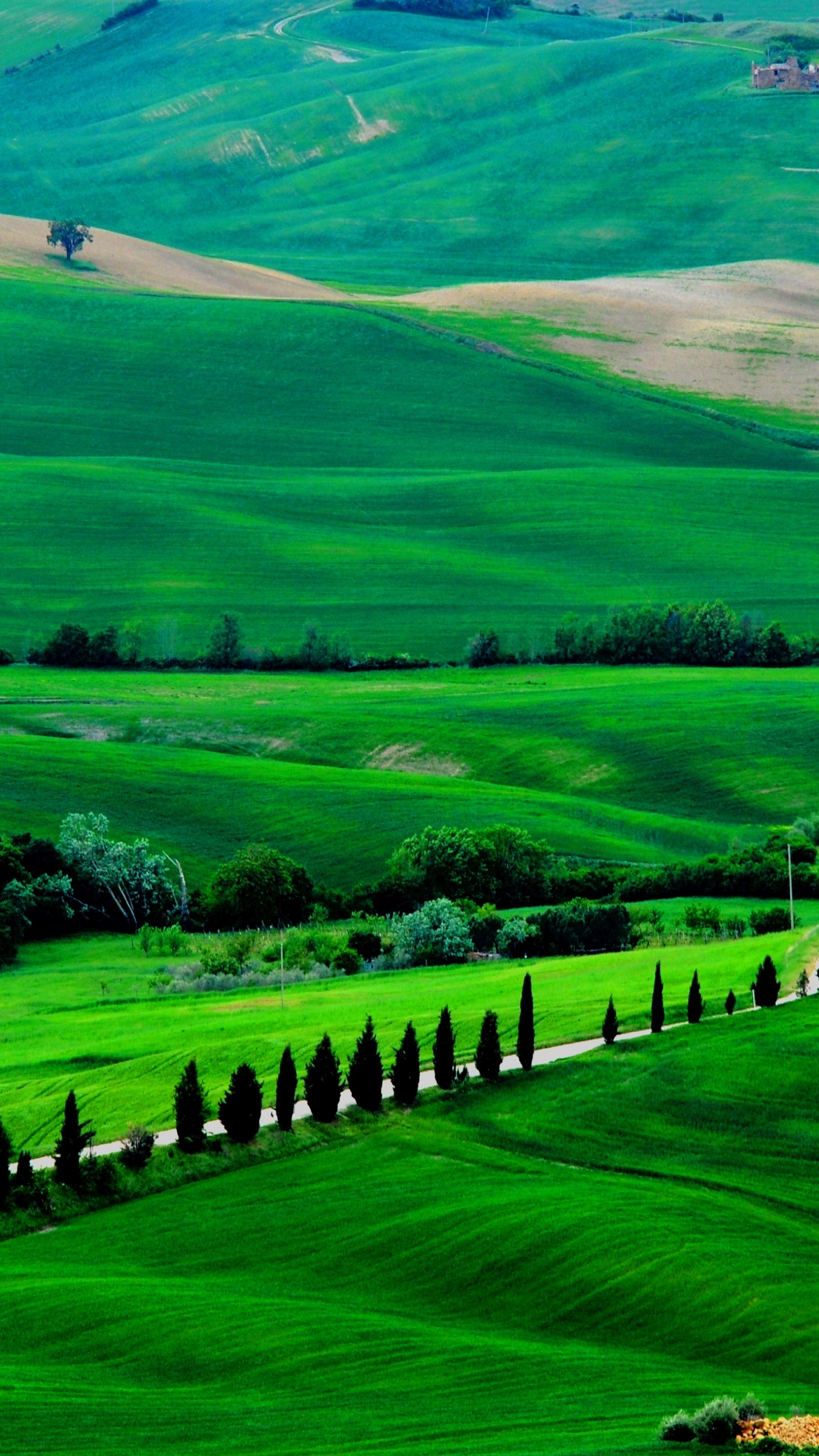 Gr, Grünland, Natur, Weide, Hochland. Wallpaper in 1440x2560 Resolution