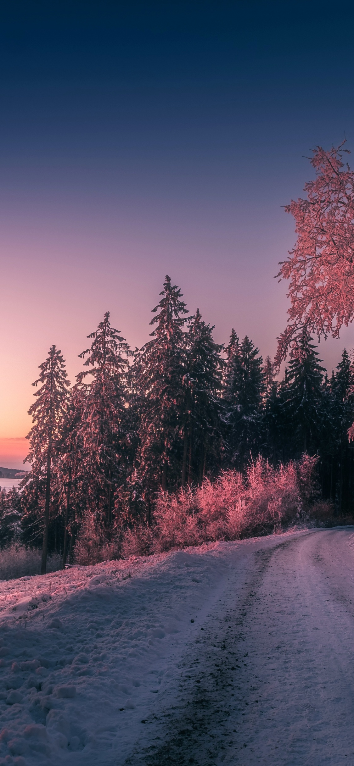 冬天, 冻结, 早上, 黎明, 富士X-Pro2 壁纸 1125x2436 允许