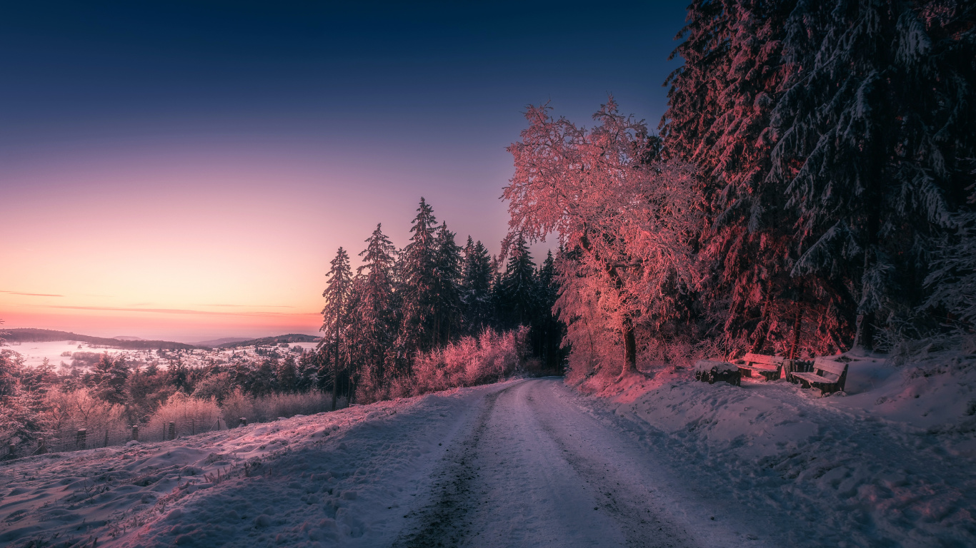 冬天, 冻结, 早上, 黎明, 富士X-Pro2 壁纸 1366x768 允许