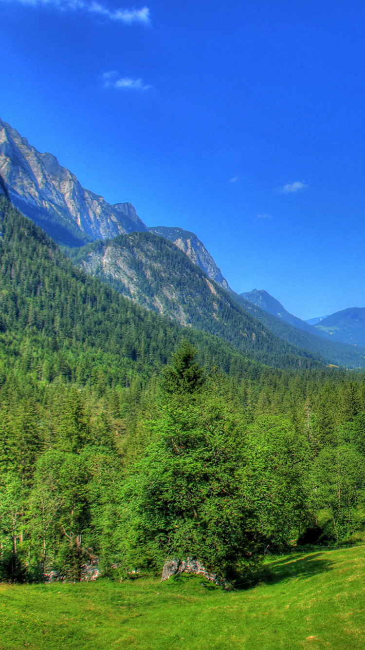 Green Trees on Green Grass Field Near Mountain Under Blue Sky During Daytime. Wallpaper in 750x1334 Resolution