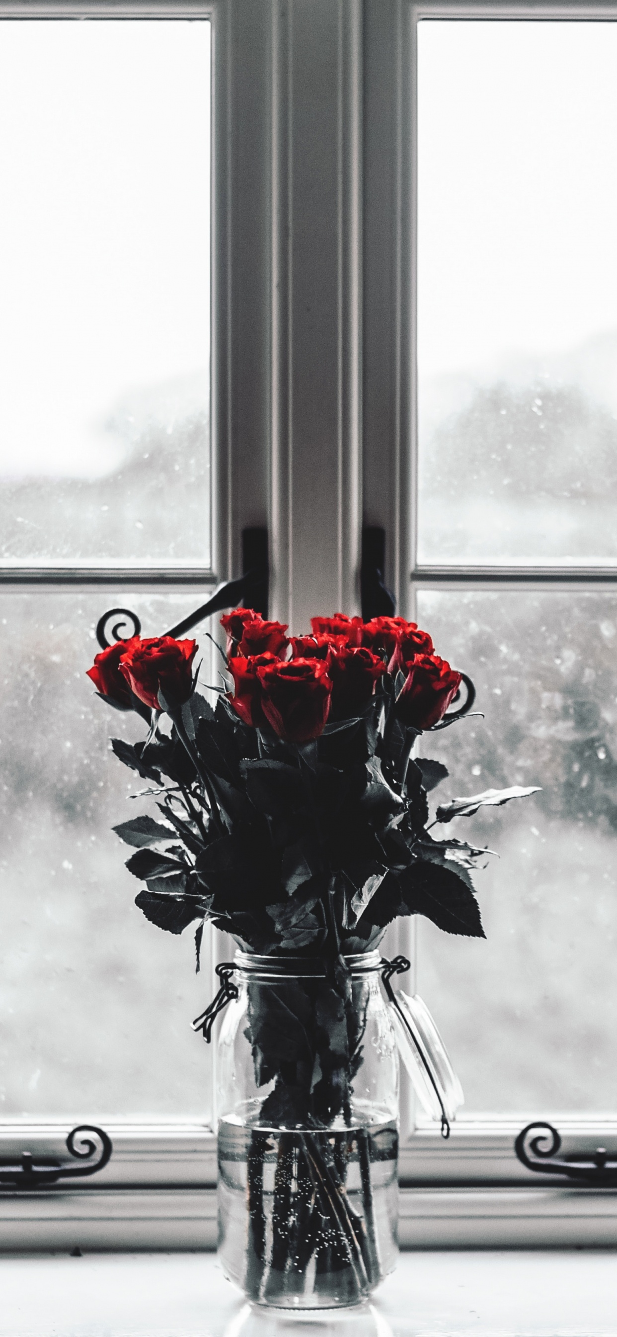 Roses Rouges Dans un Vase en Verre Transparent. Wallpaper in 1242x2688 Resolution