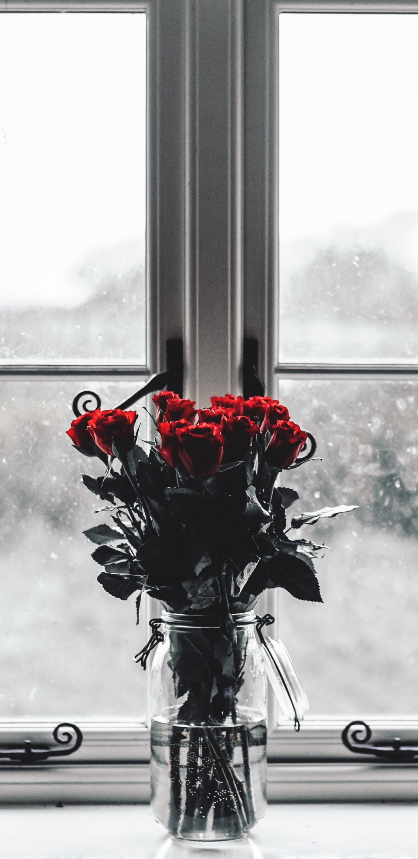 Roses Rouges Dans un Vase en Verre Transparent. Wallpaper in 1440x2960 Resolution