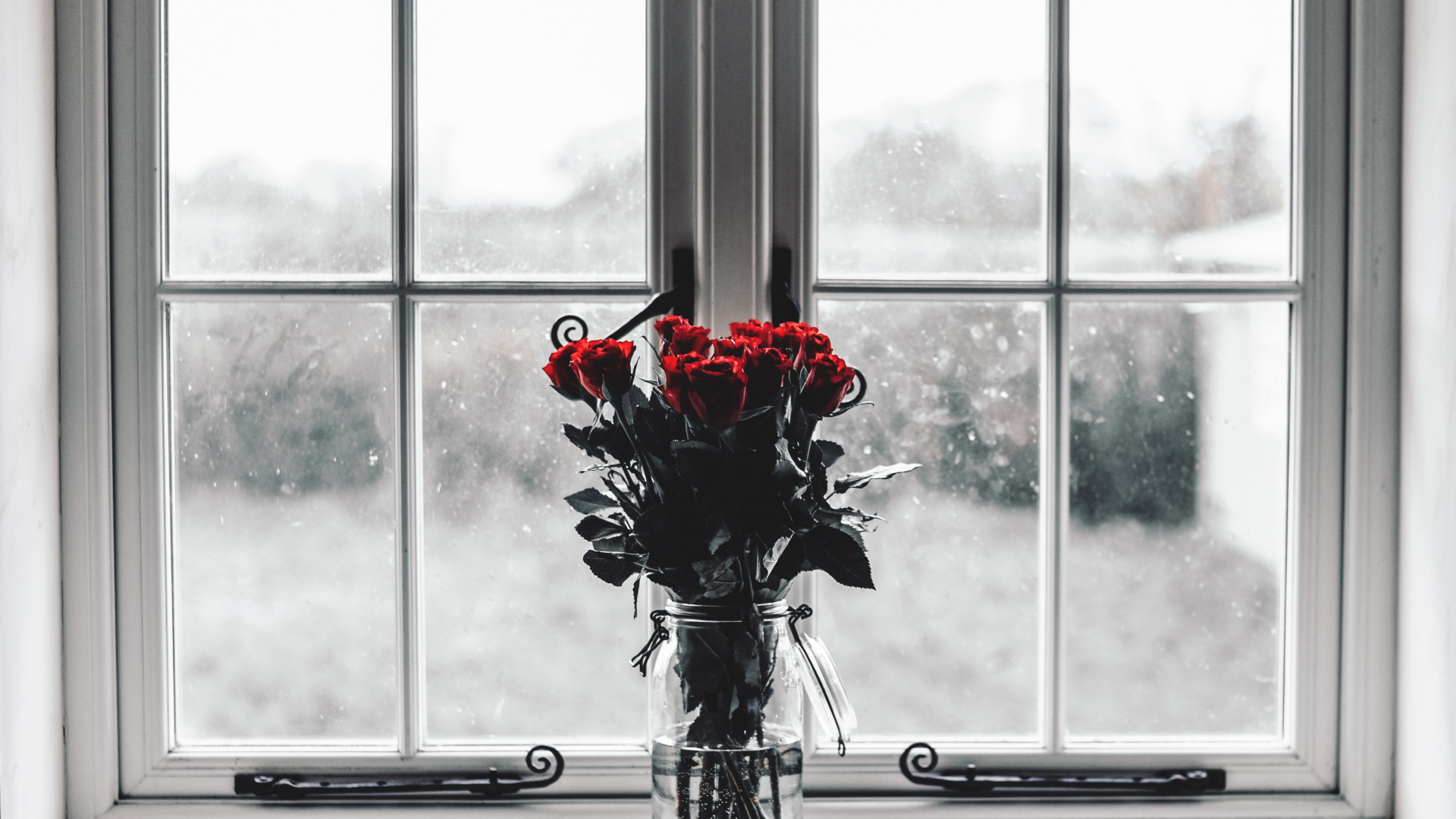 Roses Rouges Dans un Vase en Verre Transparent. Wallpaper in 1920x1080 Resolution