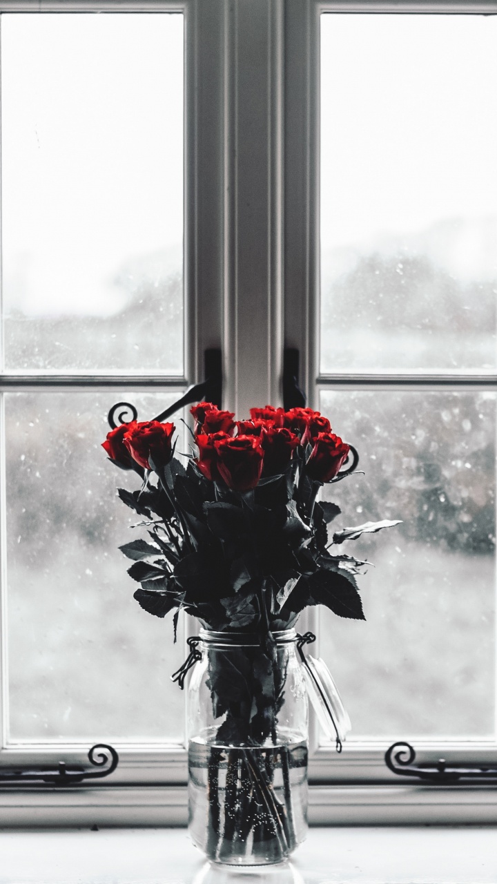 Roses Rouges Dans un Vase en Verre Transparent. Wallpaper in 720x1280 Resolution