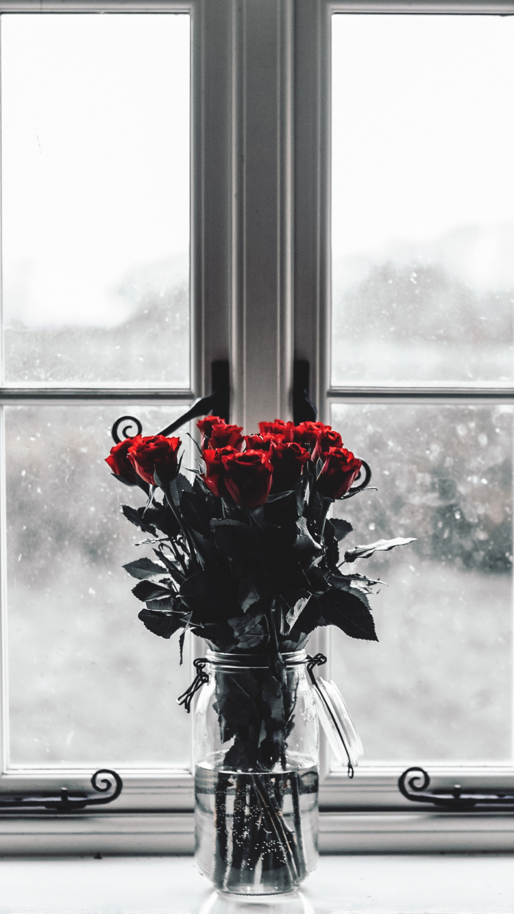 Roses Rouges Dans un Vase en Verre Transparent. Wallpaper in 750x1334 Resolution