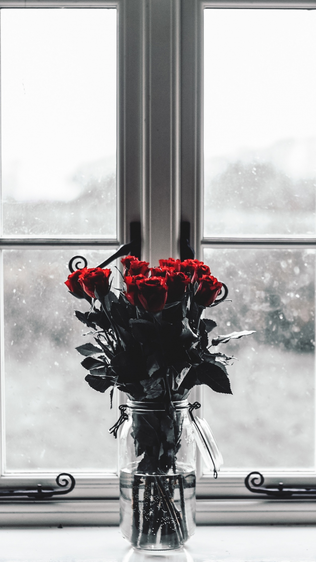 Red Roses in Clear Glass Vase. Wallpaper in 1080x1920 Resolution