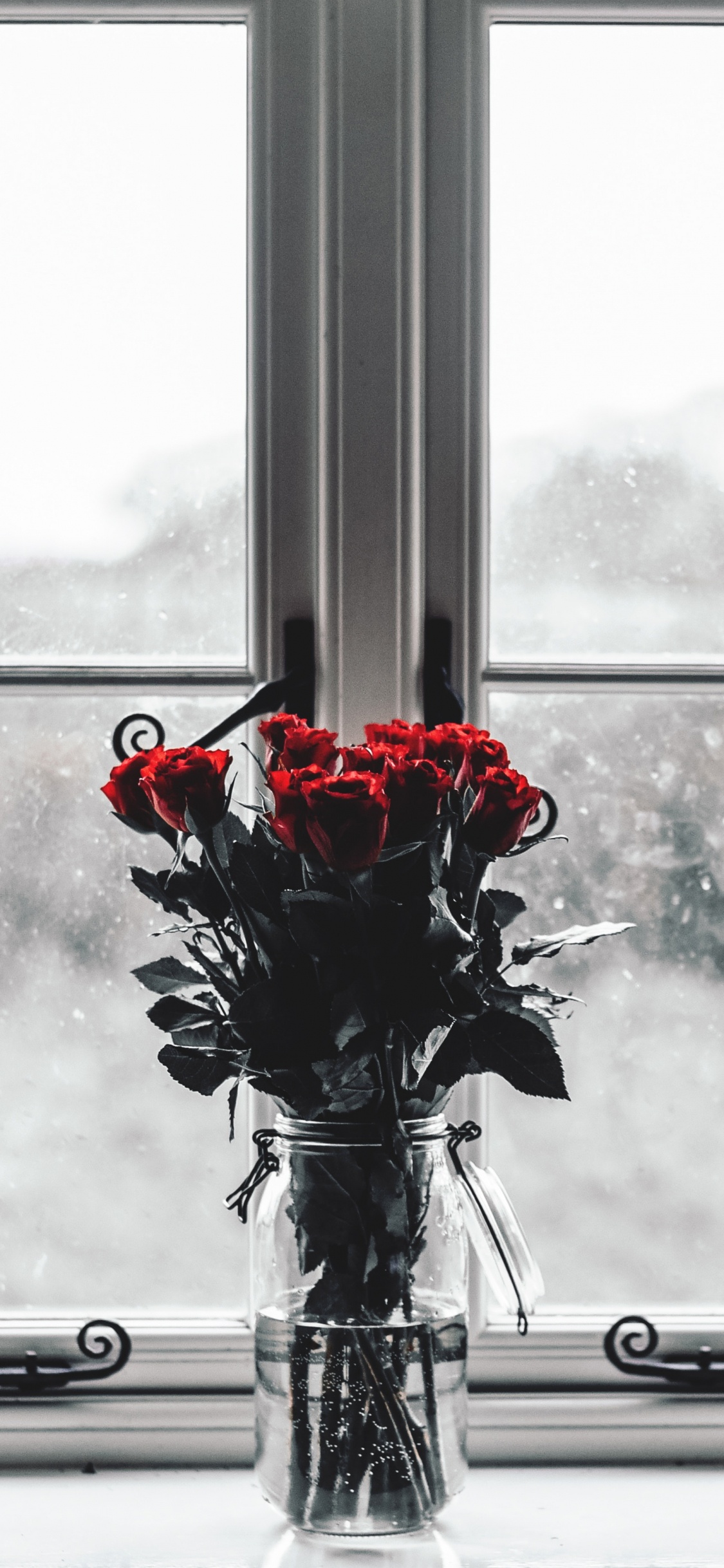 Red Roses in Clear Glass Vase. Wallpaper in 1125x2436 Resolution