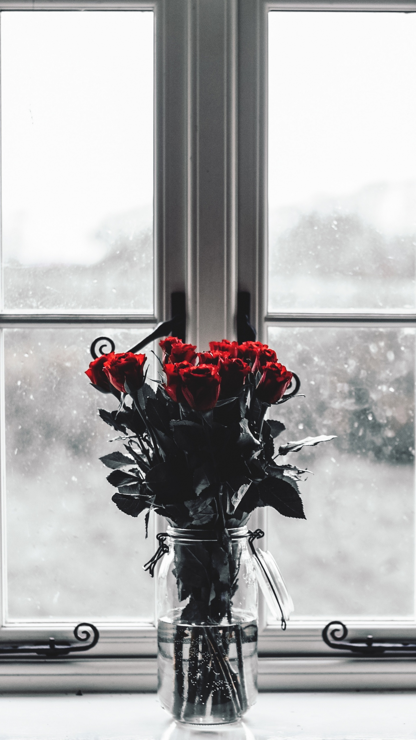 Red Roses in Clear Glass Vase. Wallpaper in 1440x2560 Resolution