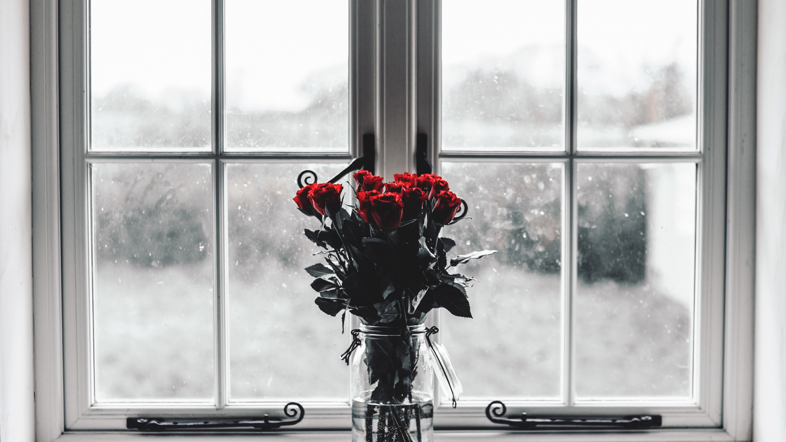 Red Roses in Clear Glass Vase. Wallpaper in 2560x1440 Resolution
