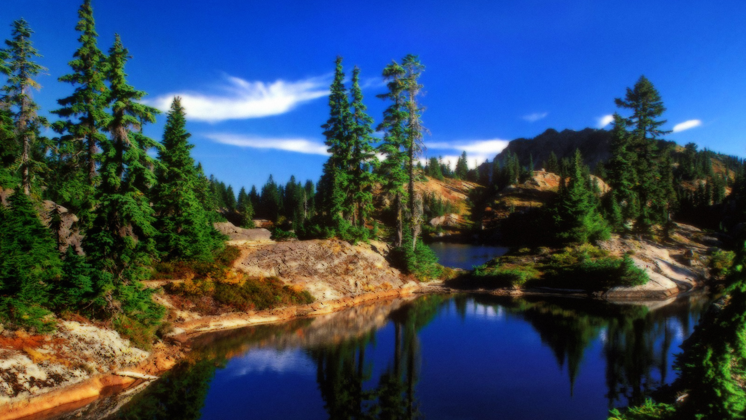 Green Trees Beside River Under Blue Sky During Daytime. Wallpaper in 2560x1440 Resolution