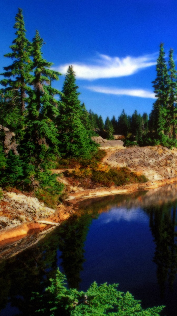 Green Trees Beside River Under Blue Sky During Daytime. Wallpaper in 720x1280 Resolution