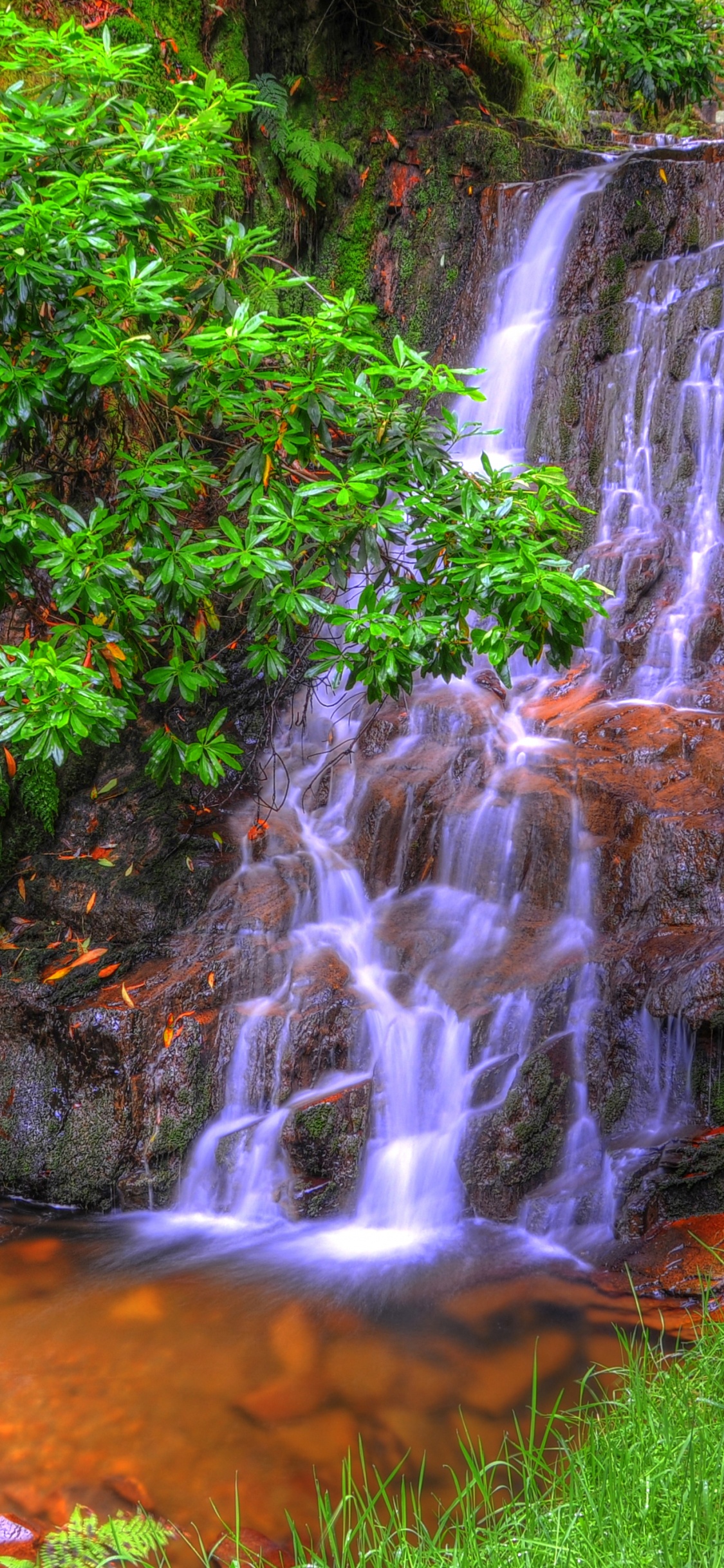Grünes Gras Und Bäume in Der Nähe Von Wasserfällen. Wallpaper in 1125x2436 Resolution