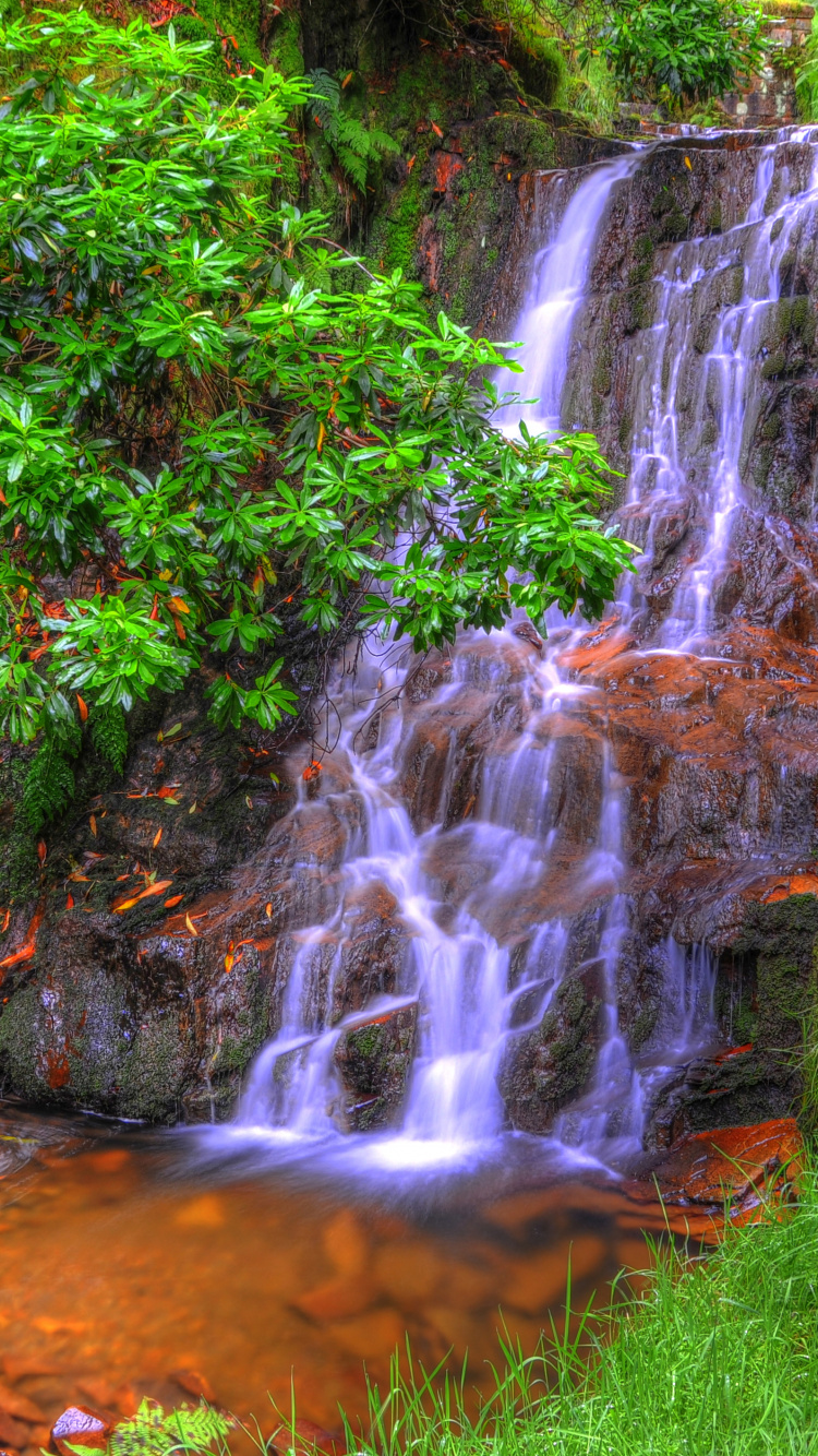 Grünes Gras Und Bäume in Der Nähe Von Wasserfällen. Wallpaper in 750x1334 Resolution