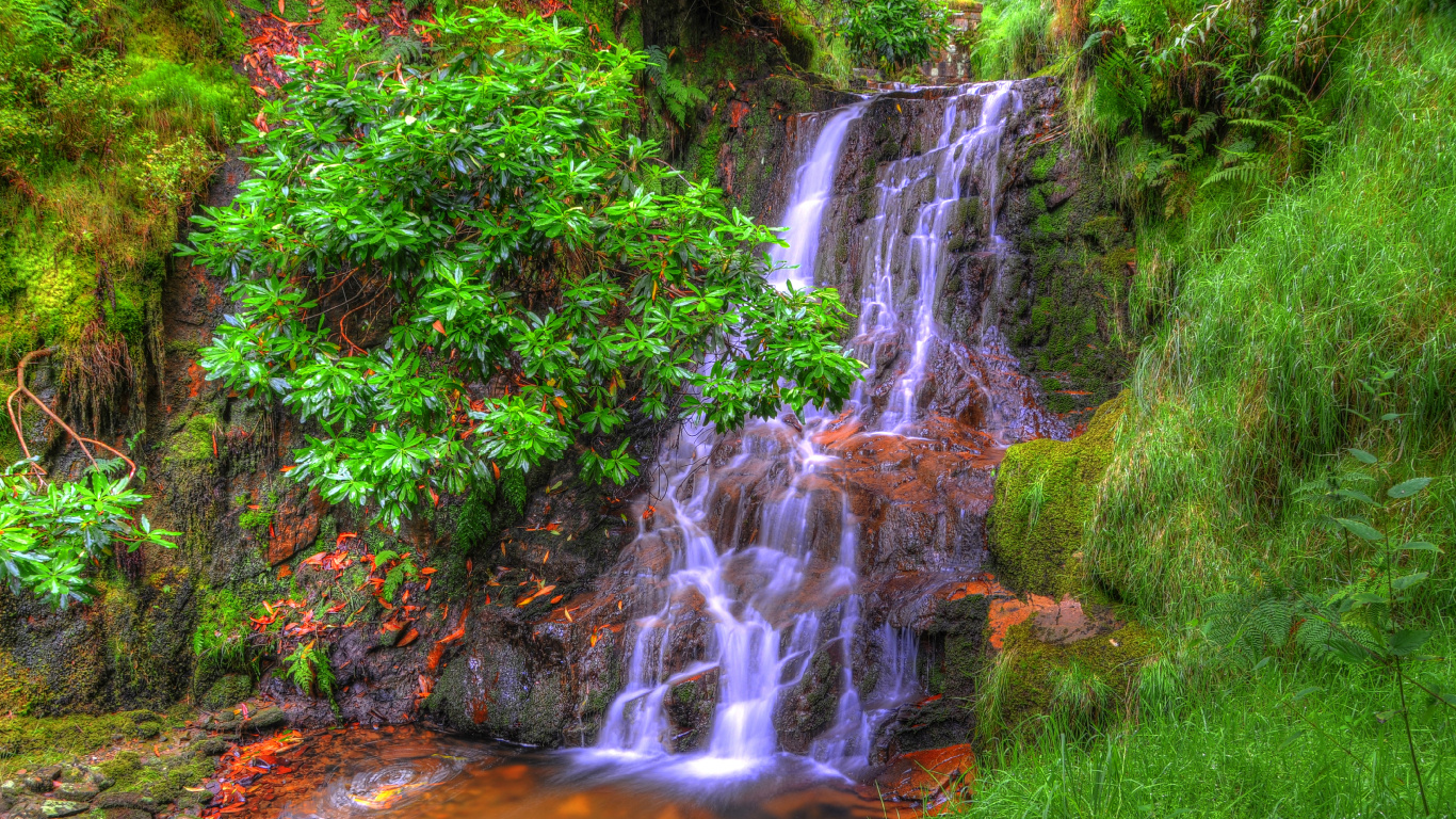 Green Grass and Trees Near Waterfalls. Wallpaper in 1366x768 Resolution