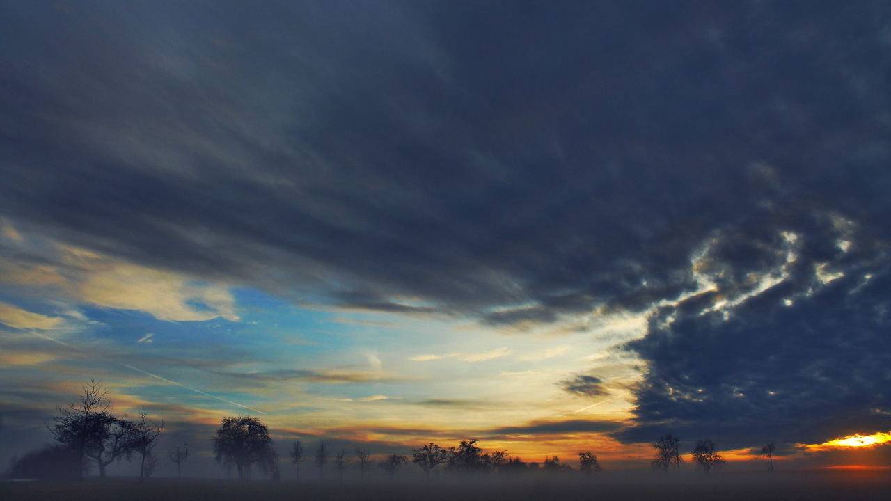 Silhouette Von Bäumen Unter Bewölktem Himmel Bei Sonnenuntergang. Wallpaper in 1280x720 Resolution