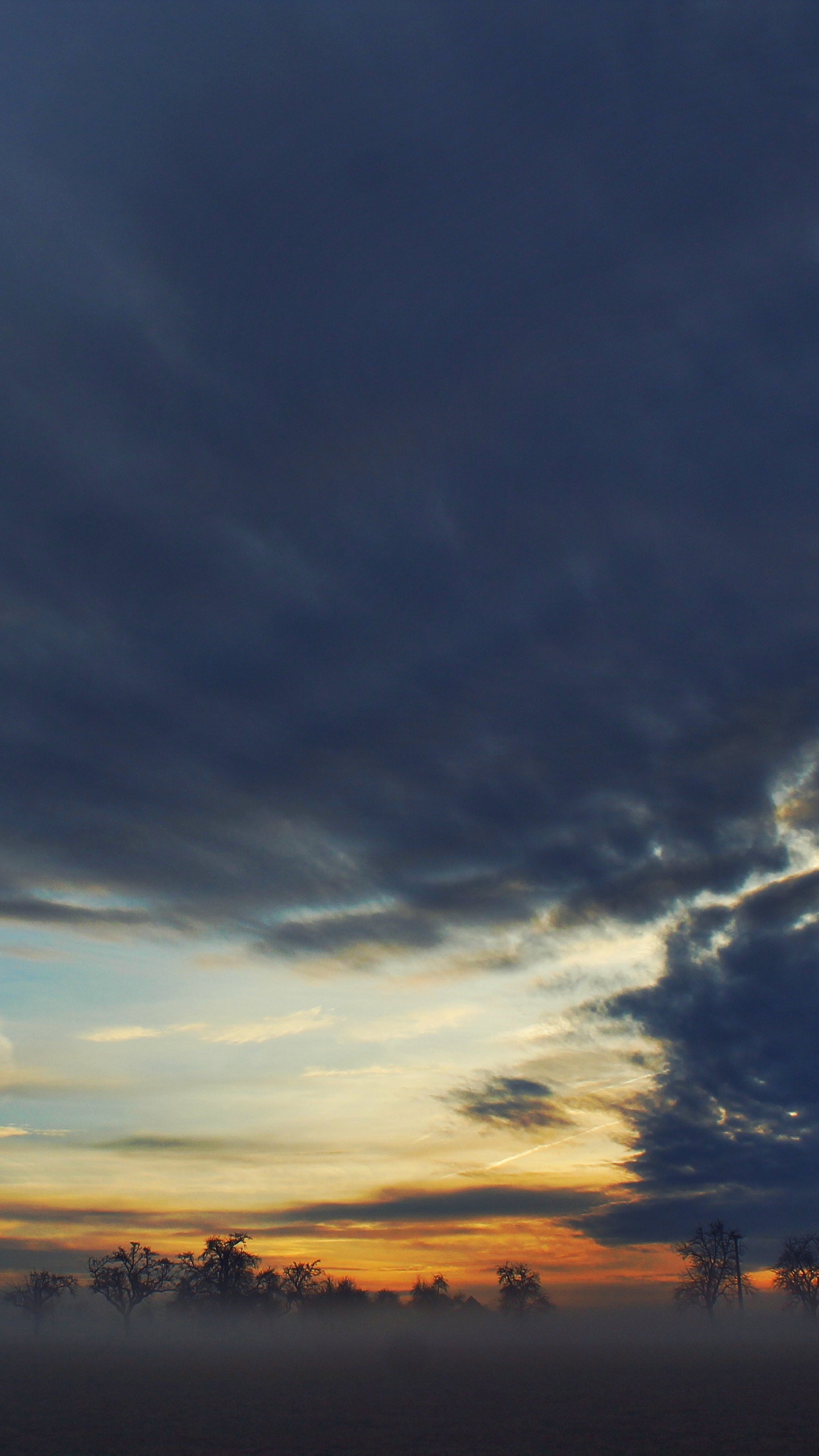 Silhouette Von Bäumen Unter Bewölktem Himmel Bei Sonnenuntergang. Wallpaper in 1440x2560 Resolution