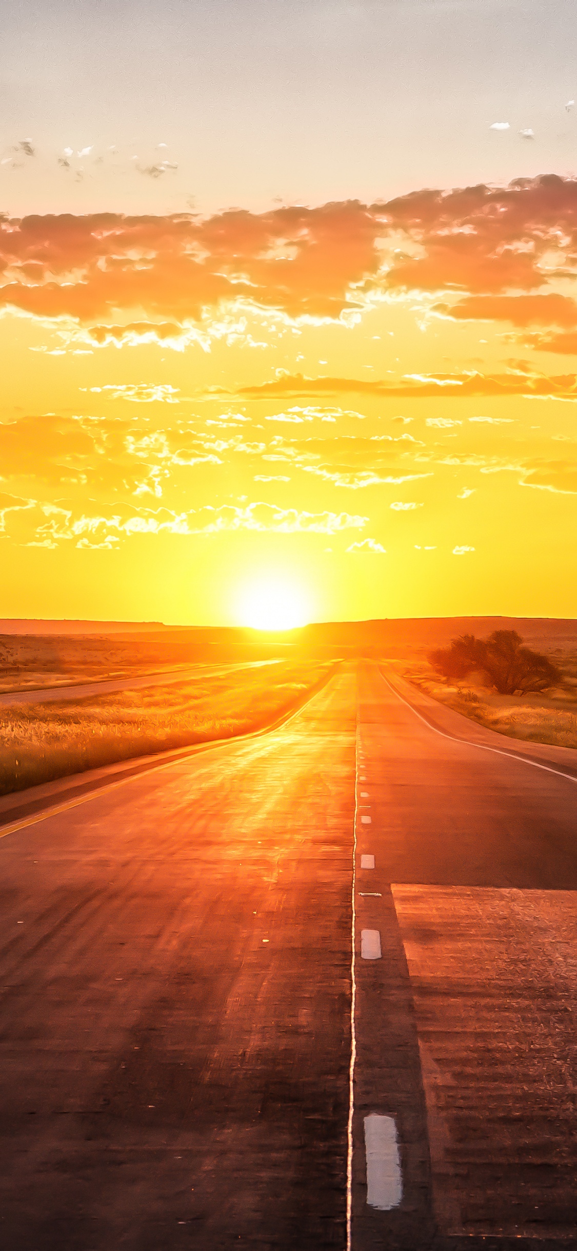 Route en Béton Gris Pendant le Coucher du Soleil. Wallpaper in 1125x2436 Resolution