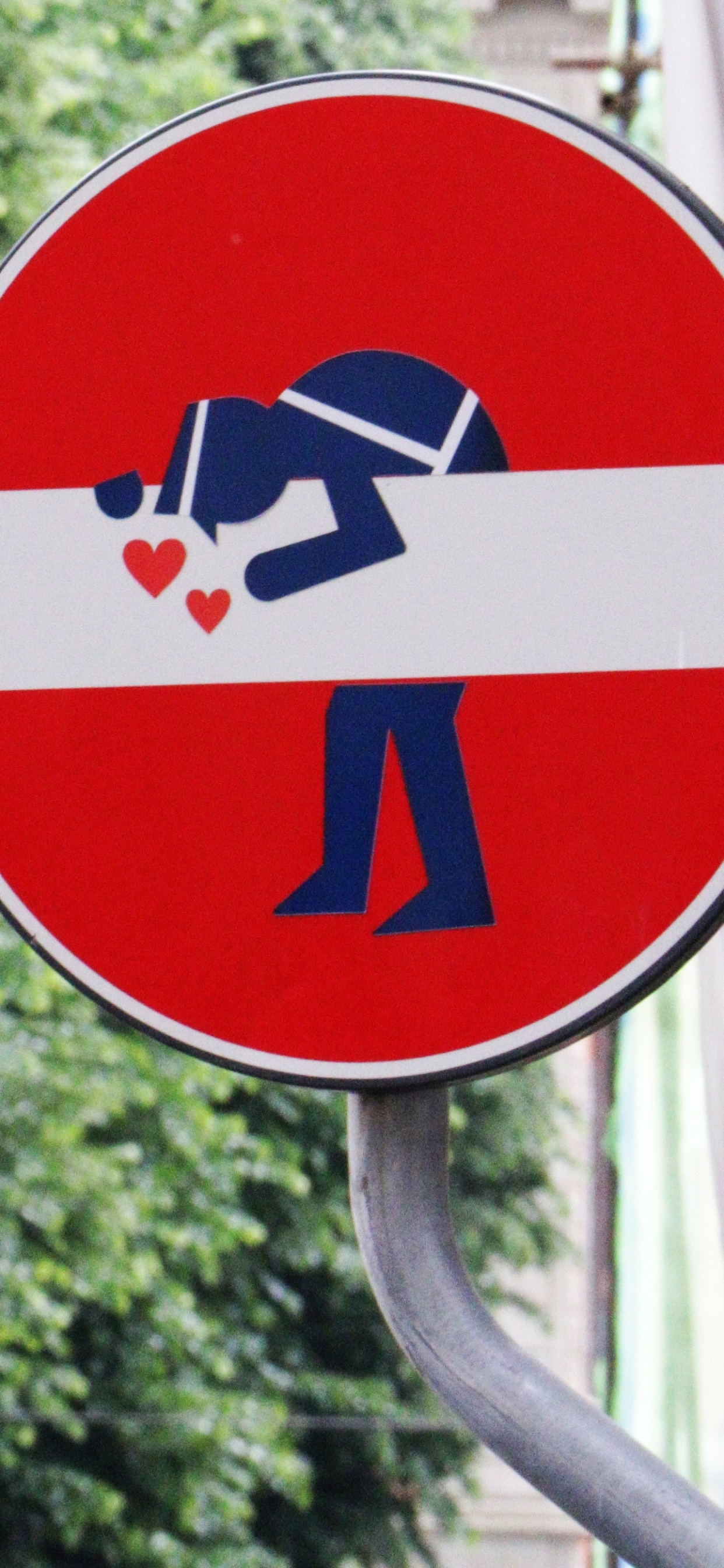 Verkehrszeichen, Signage, Gr, Straßenschild, Baum. Wallpaper in 1242x2688 Resolution