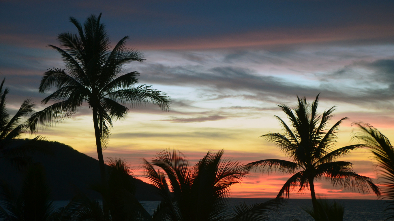 Palm Tree Under Cloudy Sky During Sunset. Wallpaper in 1366x768 Resolution