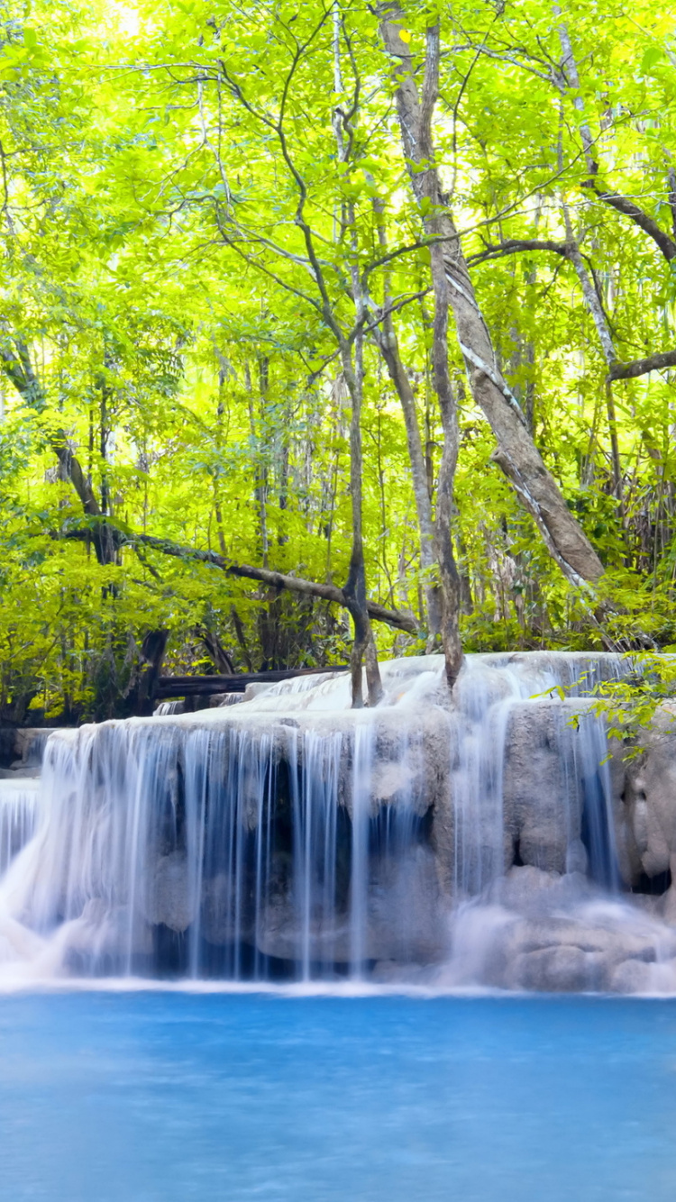 Cascades au Milieu Des Arbres Verts. Wallpaper in 750x1334 Resolution