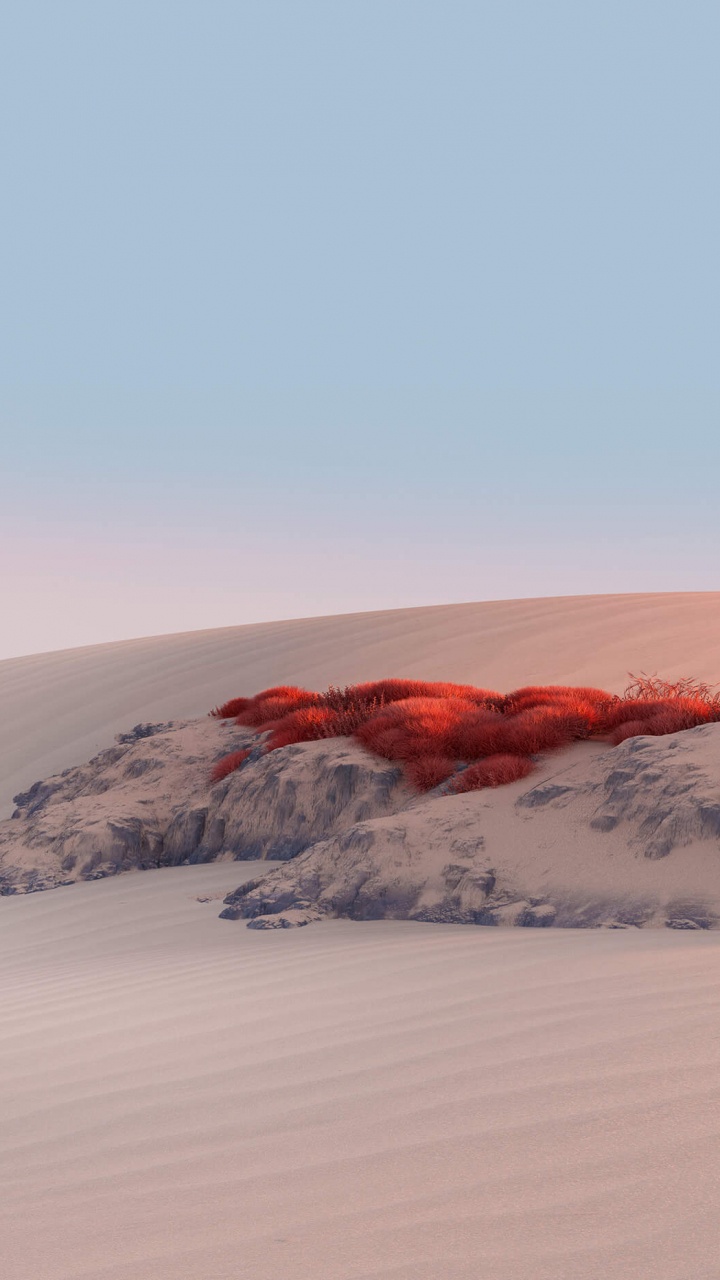 Surface, Microsoft, Sand, Environnement Naturel, Dune. Wallpaper in 720x1280 Resolution